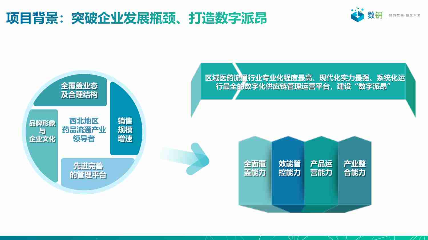 案例：派昂医药数字化转型升级.pdf-2-预览