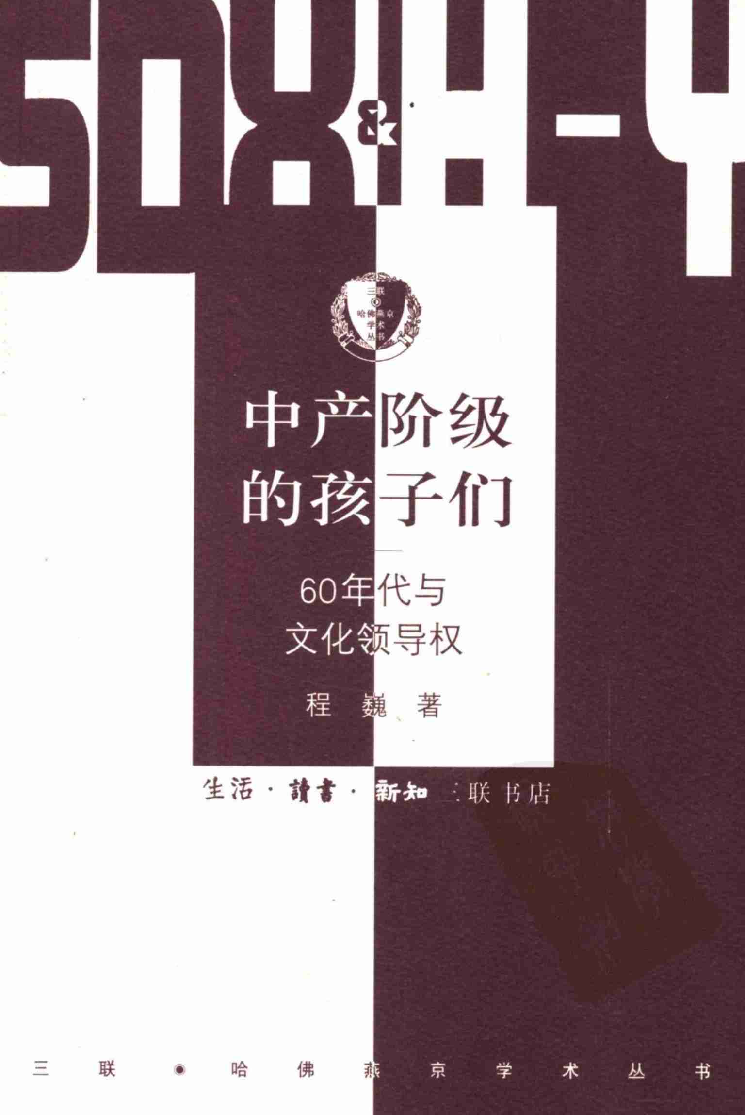 《中产阶级的孩子们》.pdf-0-预览