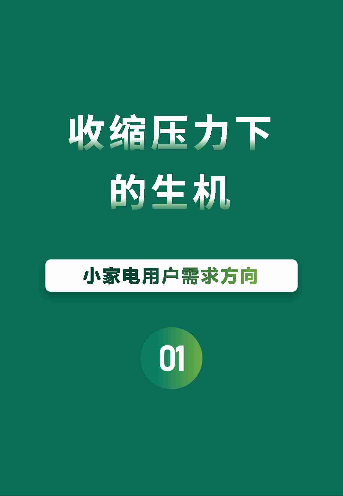 【新生代】2024 小家电用户需求及消费趋势.pdf-3-预览