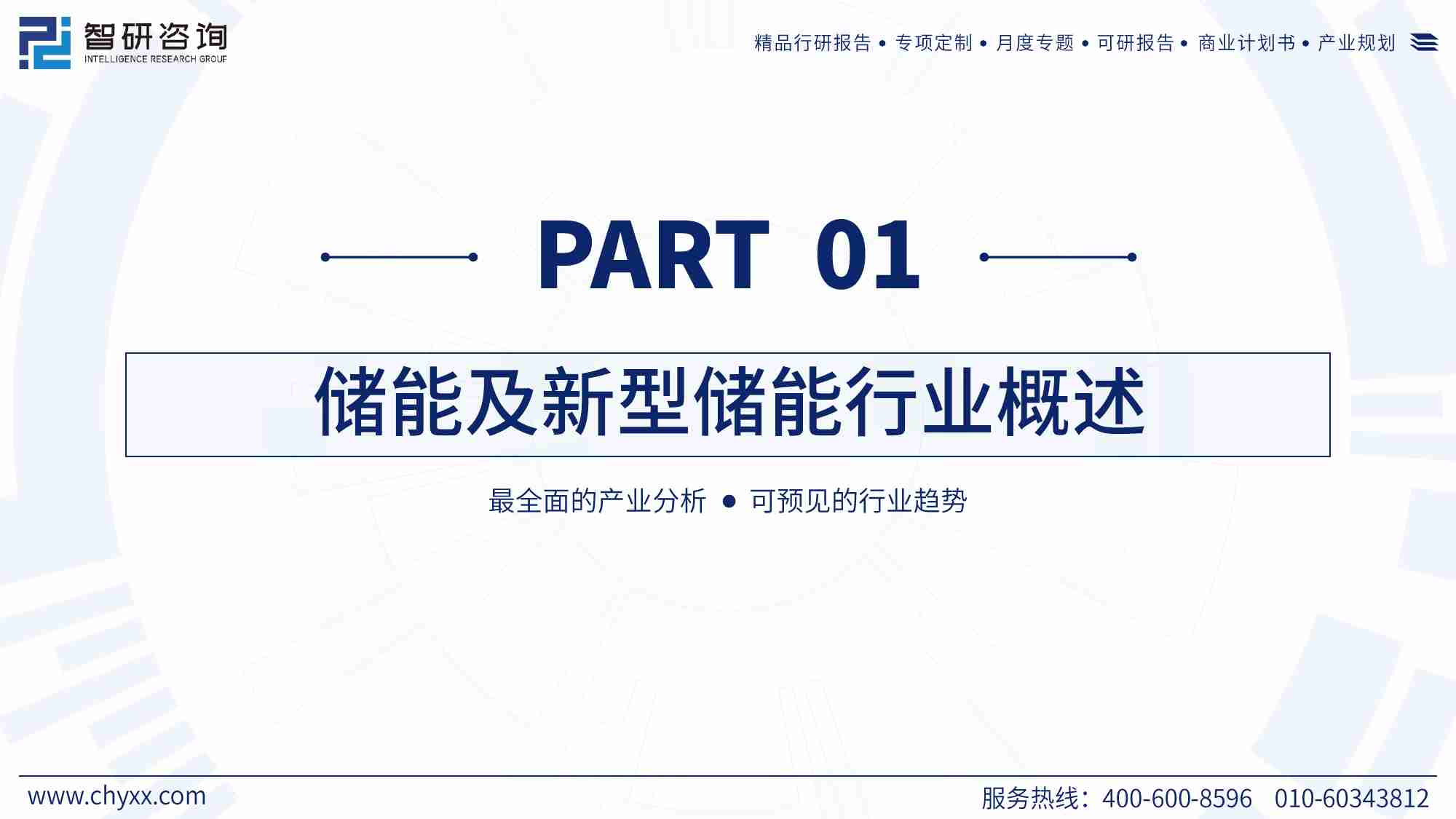 2024年储能行业市场全景分析及发展趋势展望报告.pdf-2-预览