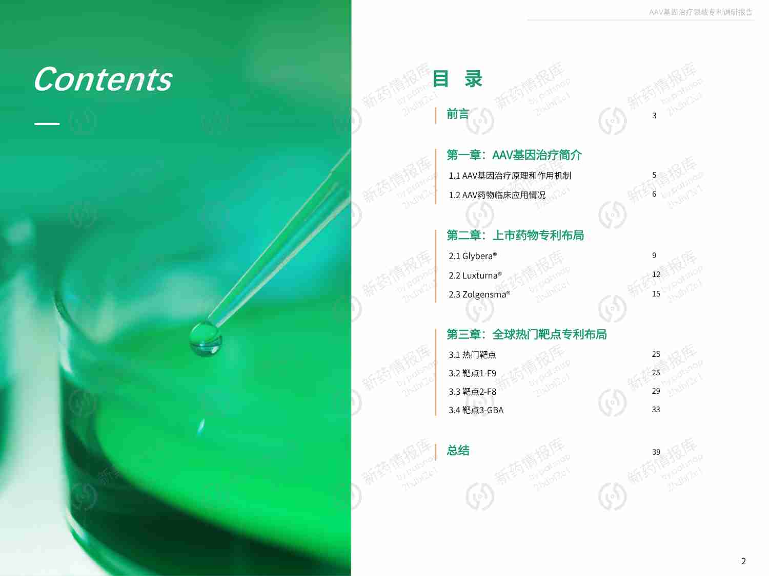 AAV系列-AAV基因治疗领域专利调研报告2022.pdf-2-预览