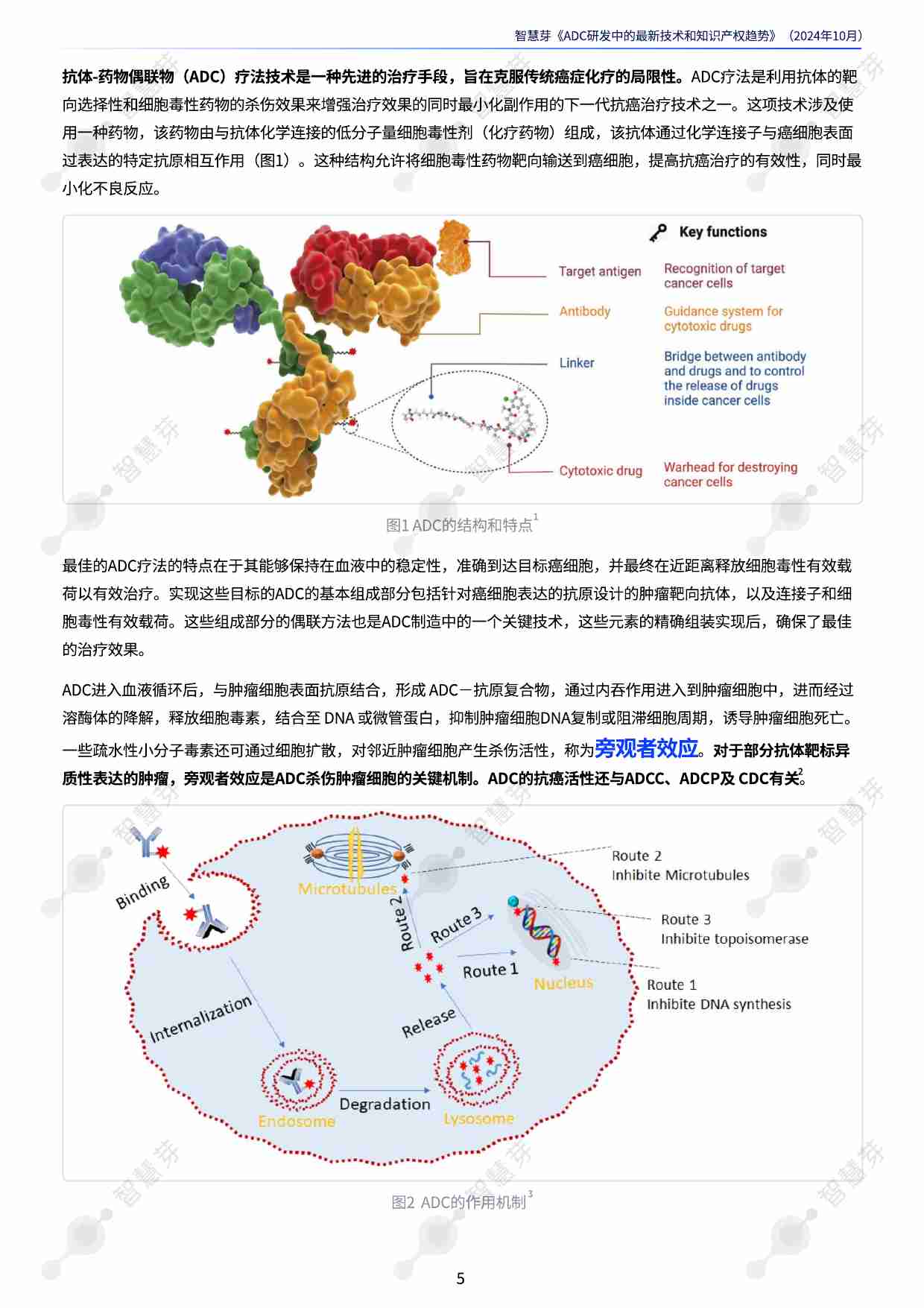 抗体-药物偶联物 ADC研发中的最新技术和知识产权趋势 202410.pdf-4-预览