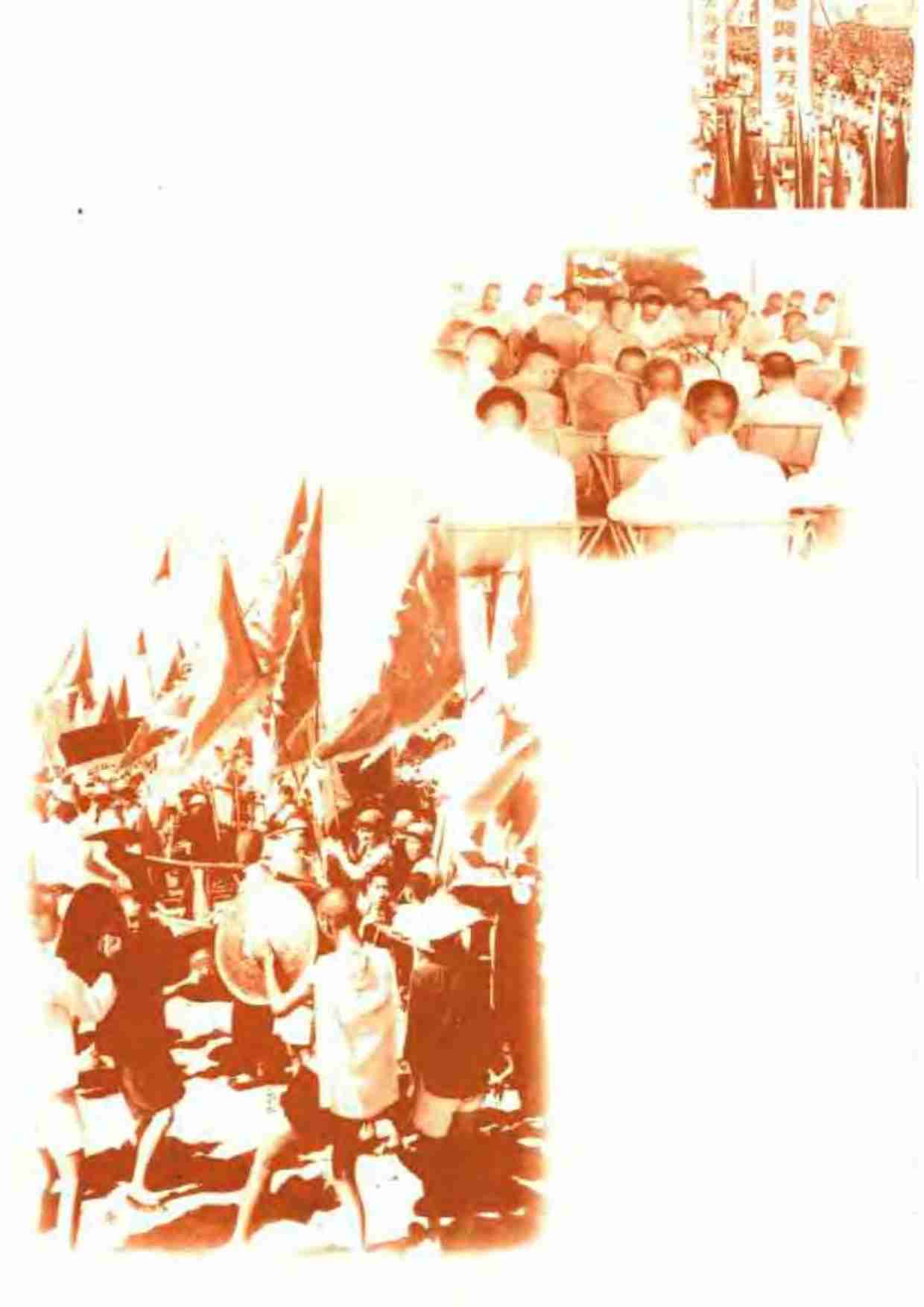 农村人民公社史 (罗平汉).pdf-4-预览