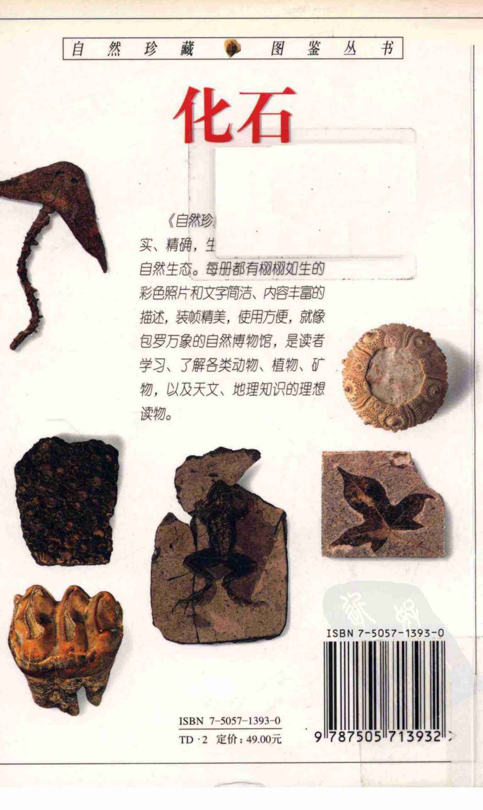 化石  全世界500多种化石的彩色图鉴 (沃克) .pdf-1-预览