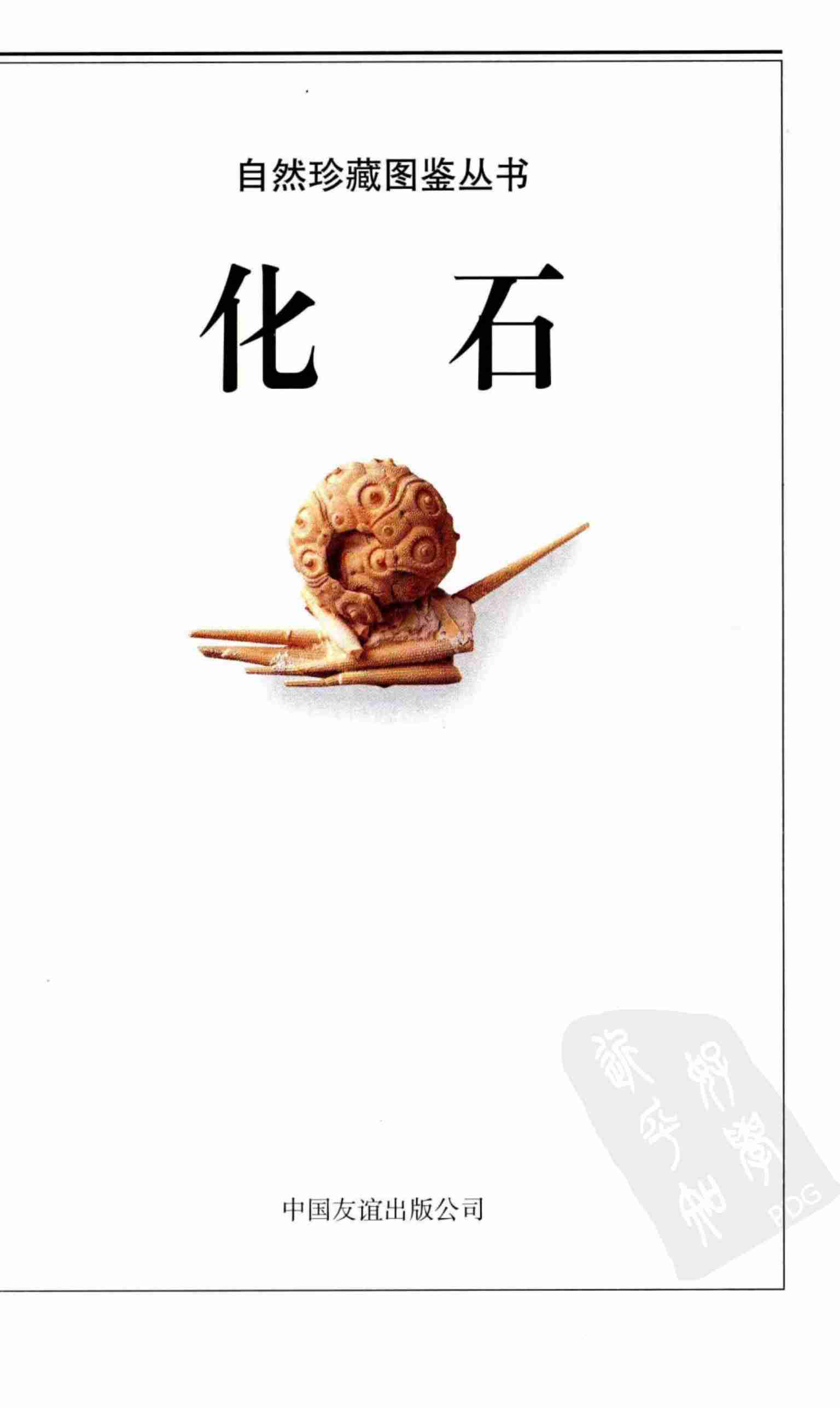 化石  全世界500多种化石的彩色图鉴 (沃克) .pdf-2-预览