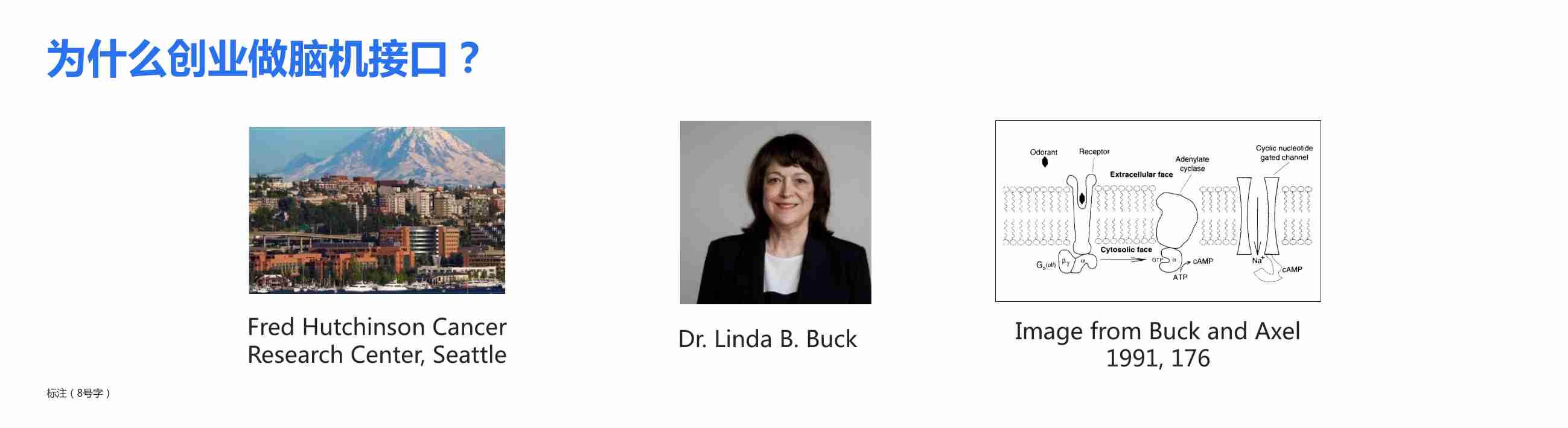 2025年脑机接口赋能企业ESG管理创新报告-金蝶（韩璧丞）.pdf-1-预览