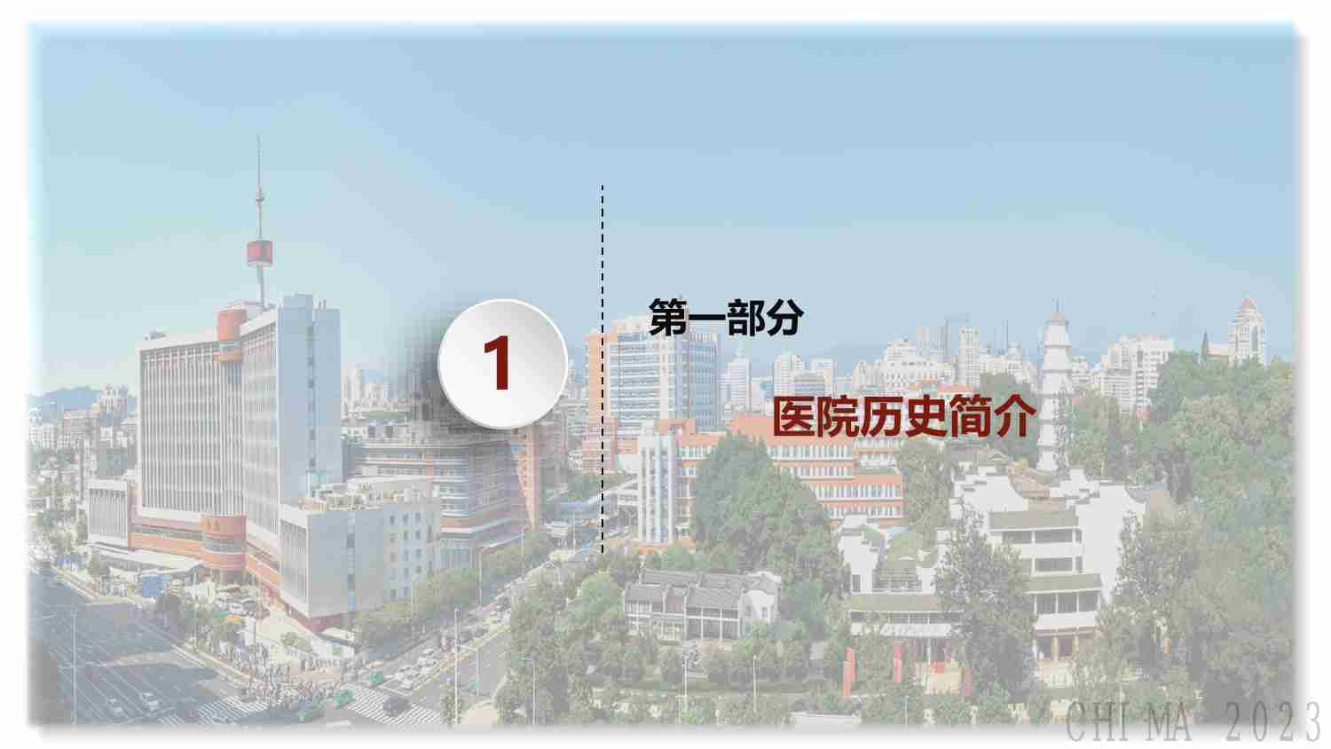 胡志坚-医疗人工智能应用初探.pdf-2-预览