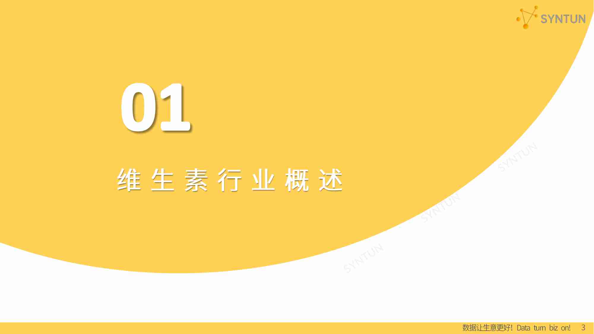 2023-维生素行业发展分析报告.pdf-2-预览