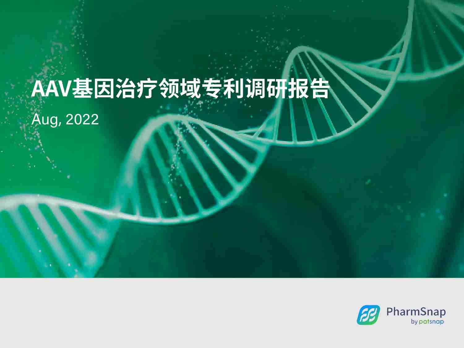 AAV系列-AAV基因治疗领域专利调研报告2022.pdf-0-预览