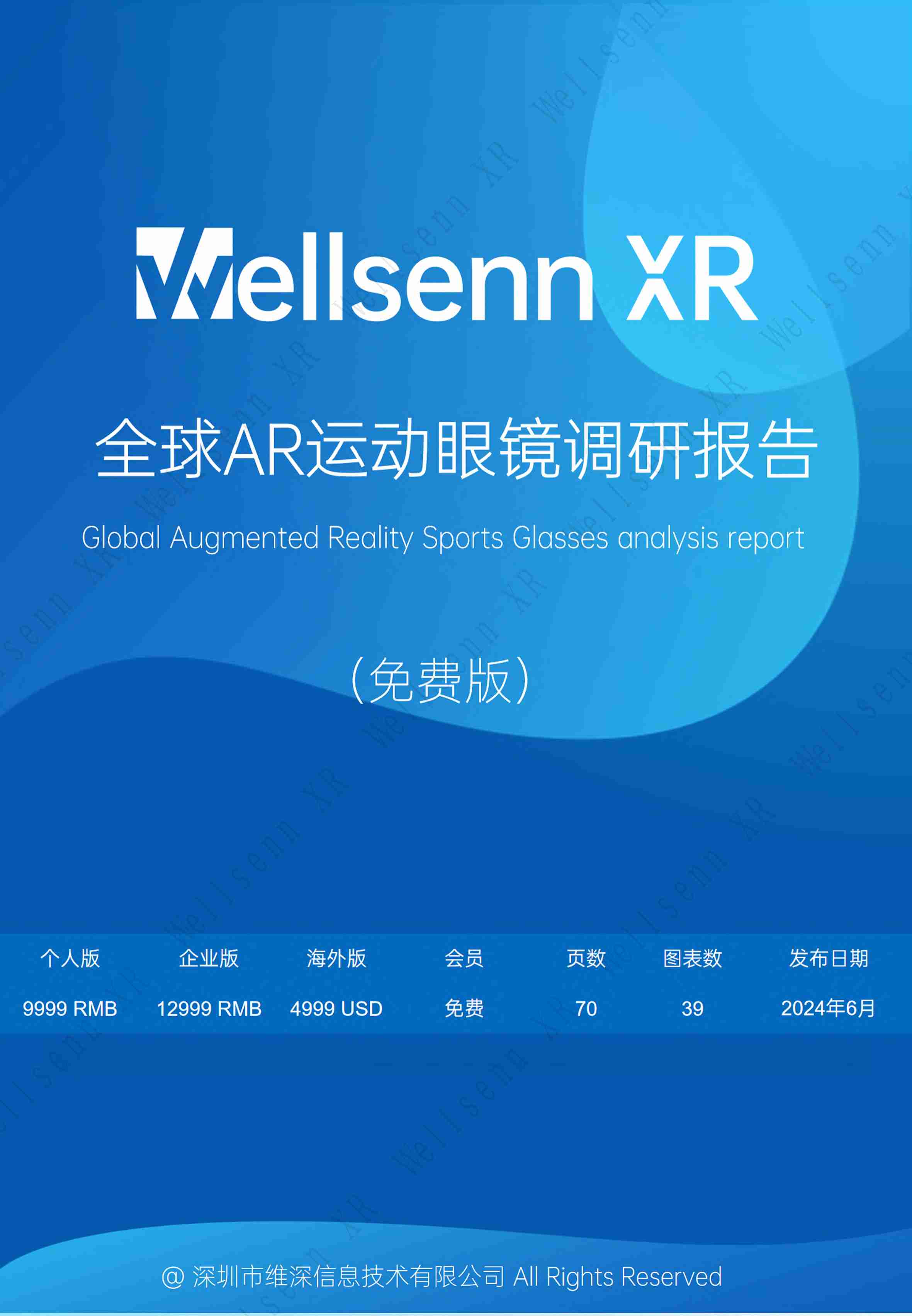 维深Wellsenn XR：2024全球AR运动眼镜调研报告.pdf-0-预览