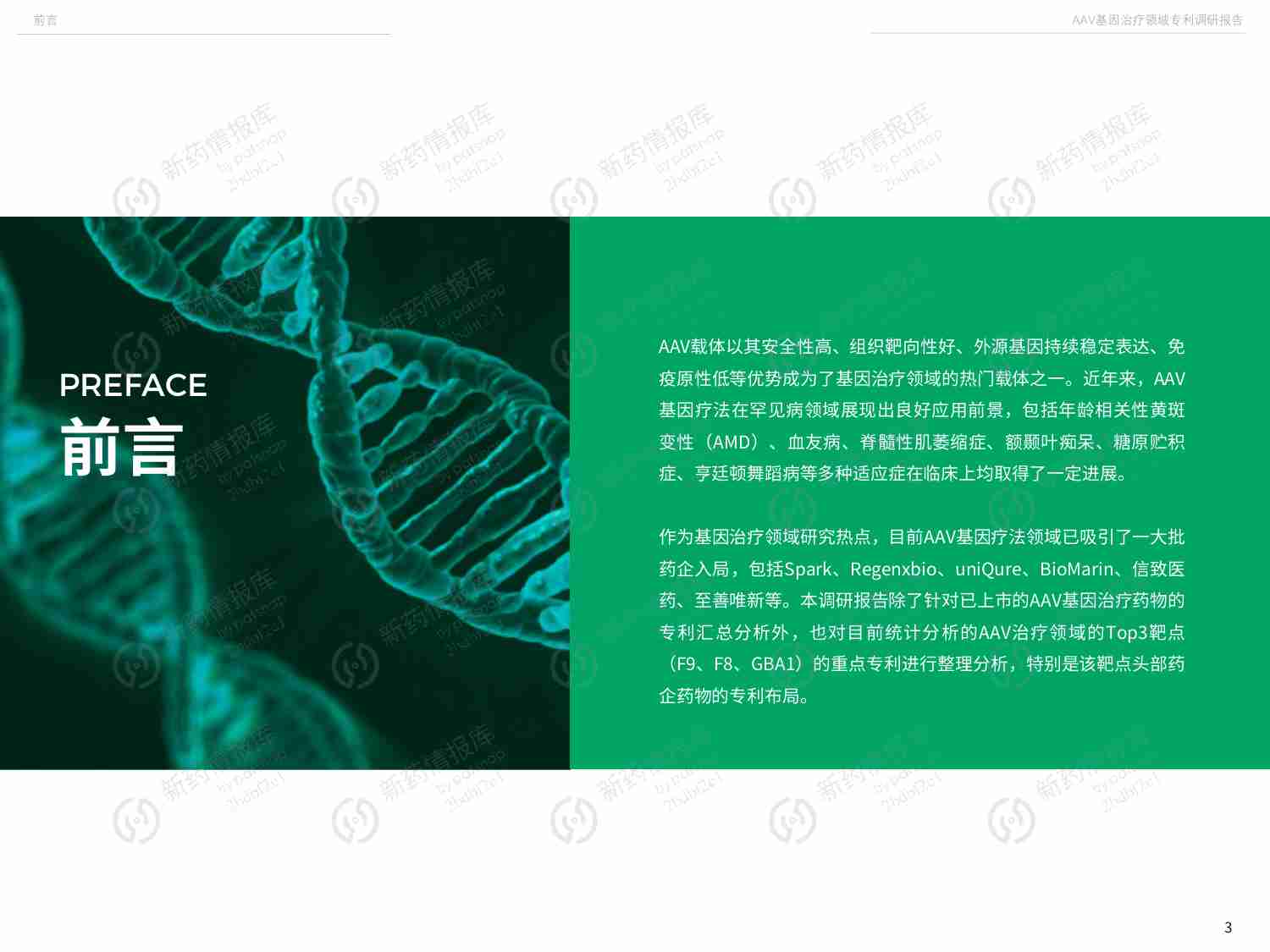 AAV系列-AAV基因治疗领域专利调研报告2022.pdf-3-预览