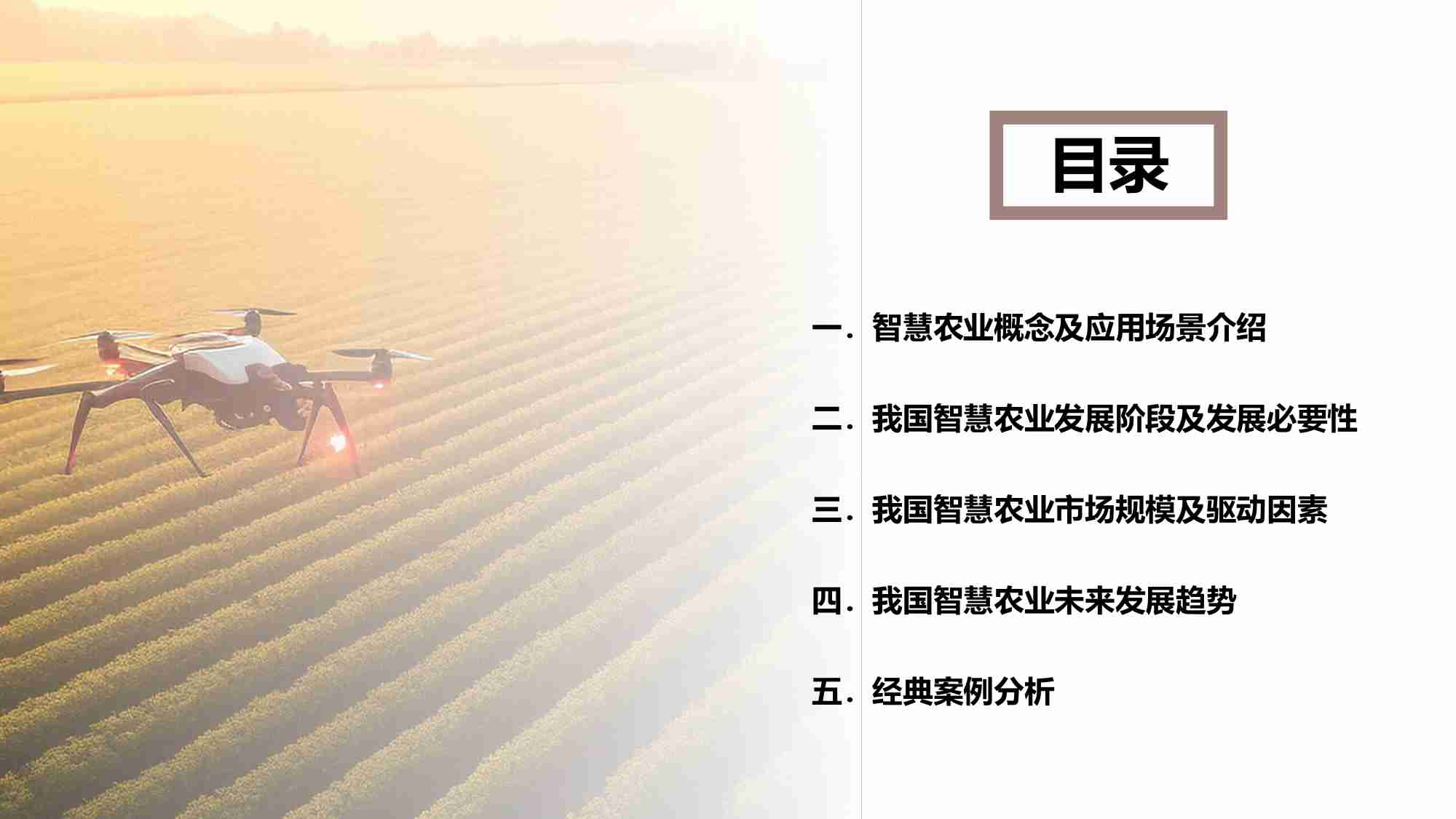 中国智慧农业行业研究报告 2024.pdf-1-预览