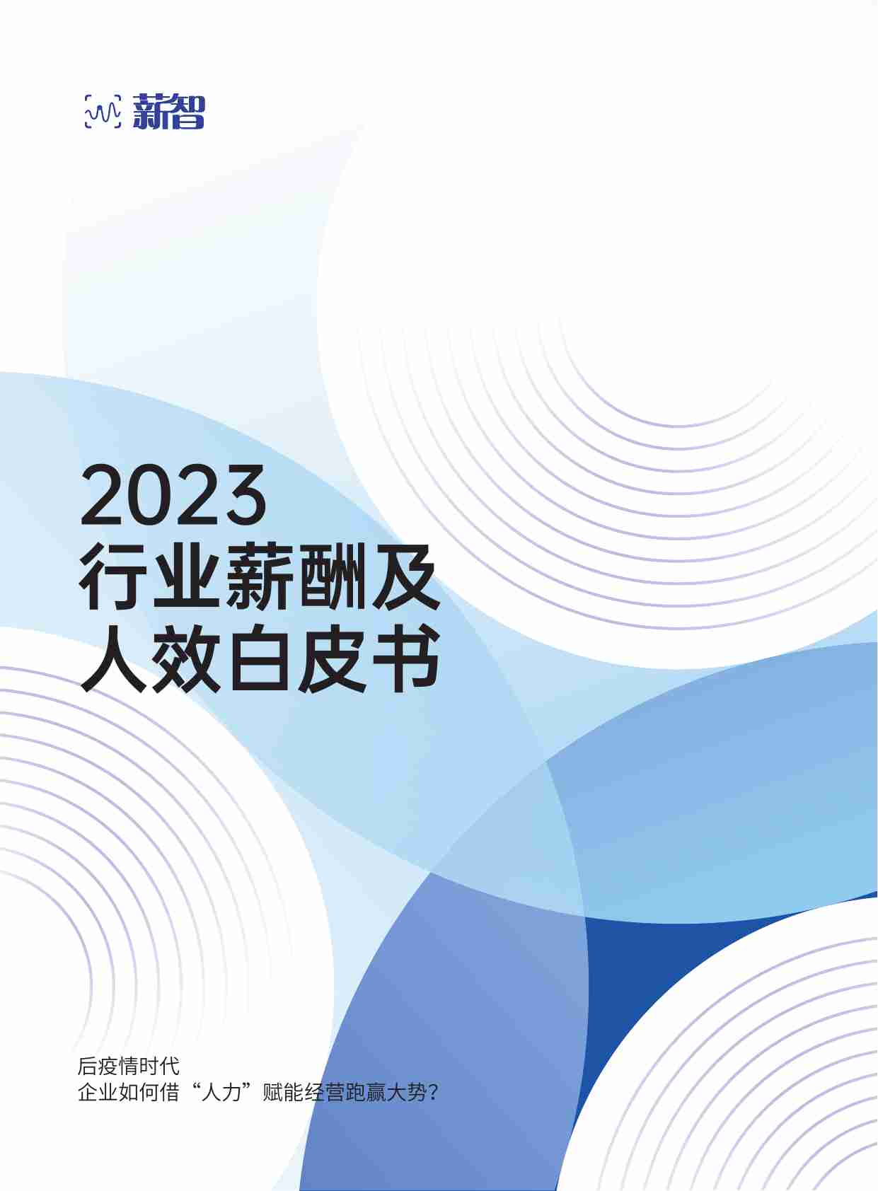 2023行业薪酬及人效白皮书（薪酬版）.pdf-0-预览