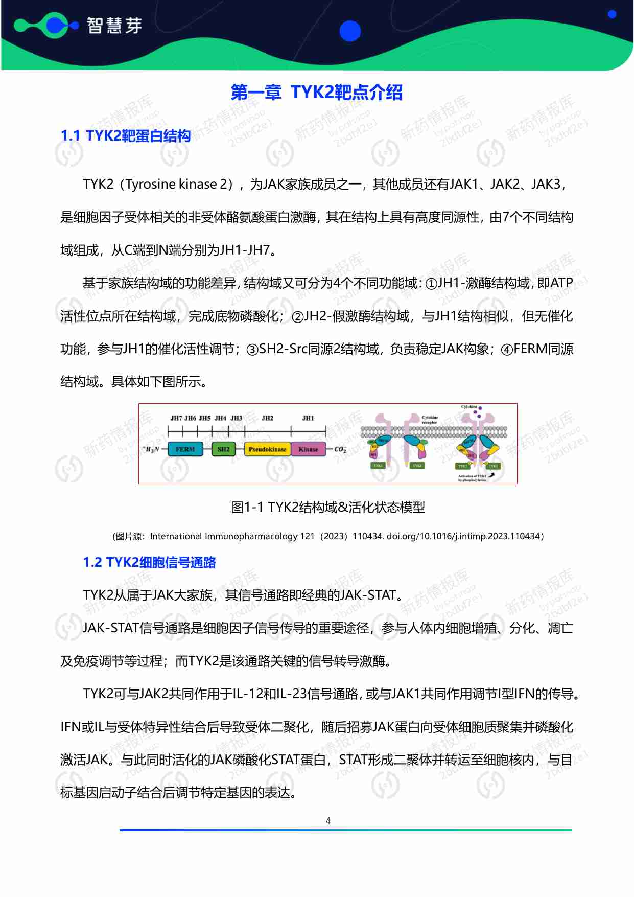 TYK2抑制剂药物研发及专利调研报告.pdf-4-预览