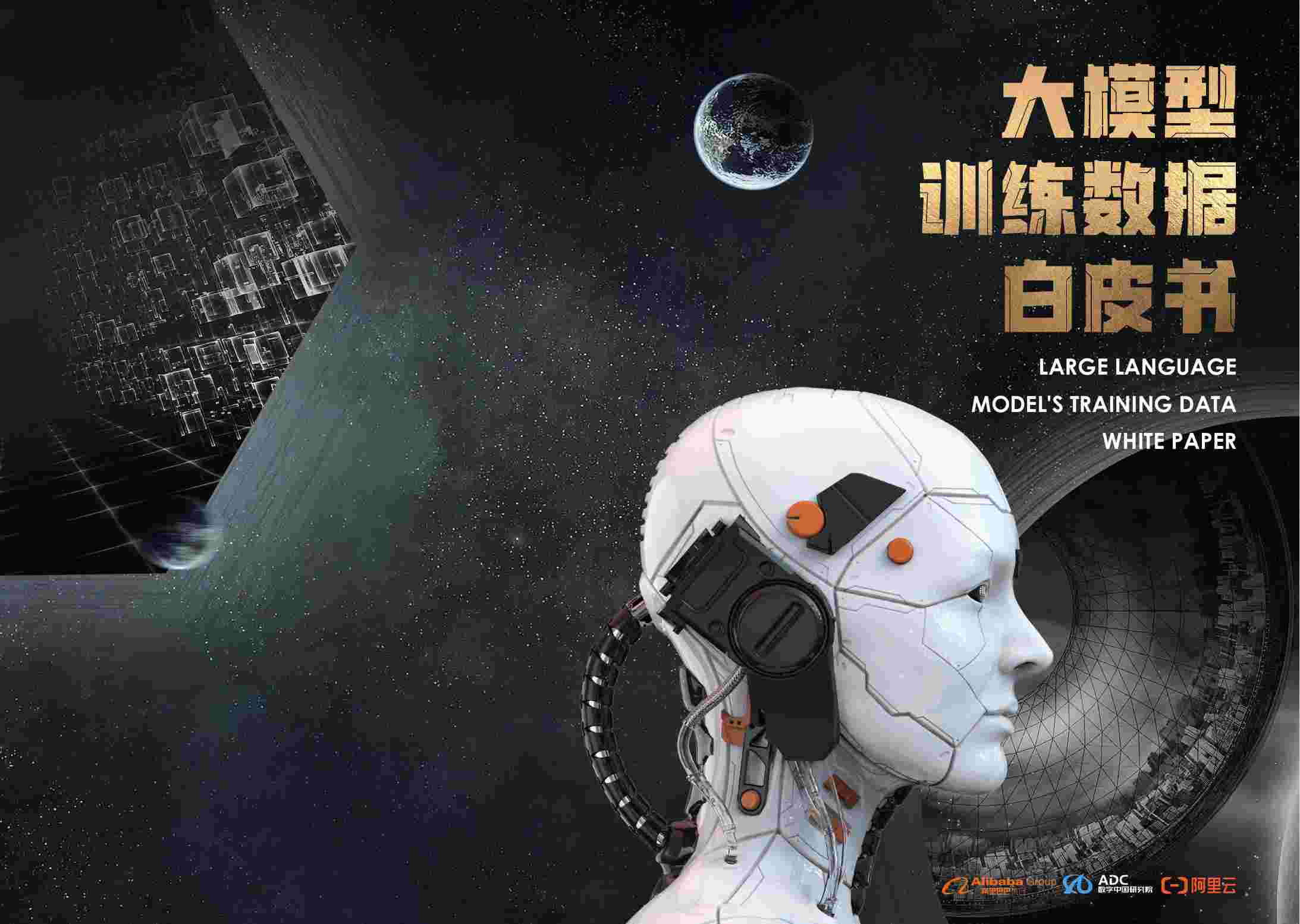 2024年AI大模型训练数据白皮书.pdf-0-预览