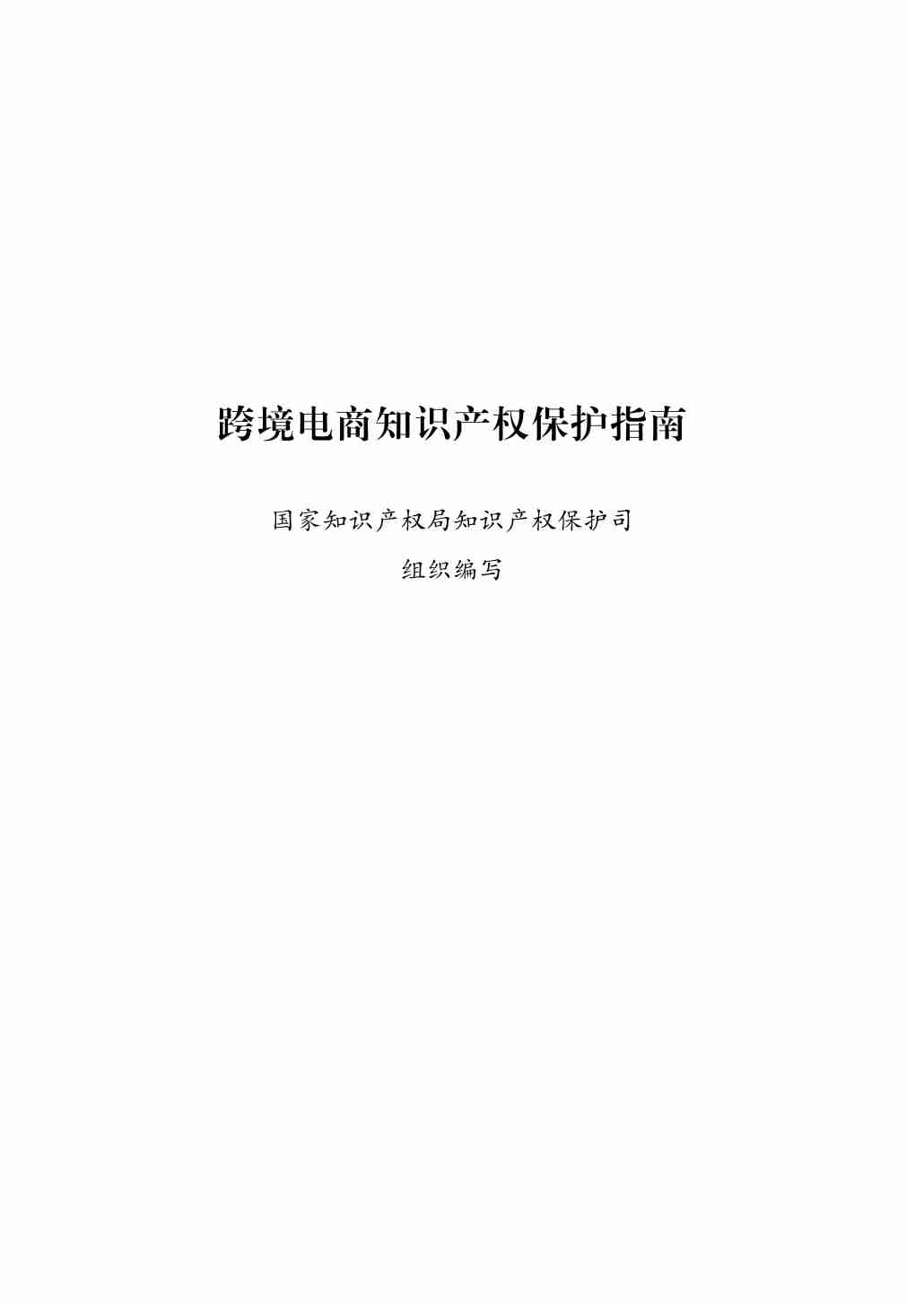 跨境电商知识产权保护指南 2025.pdf-0-预览