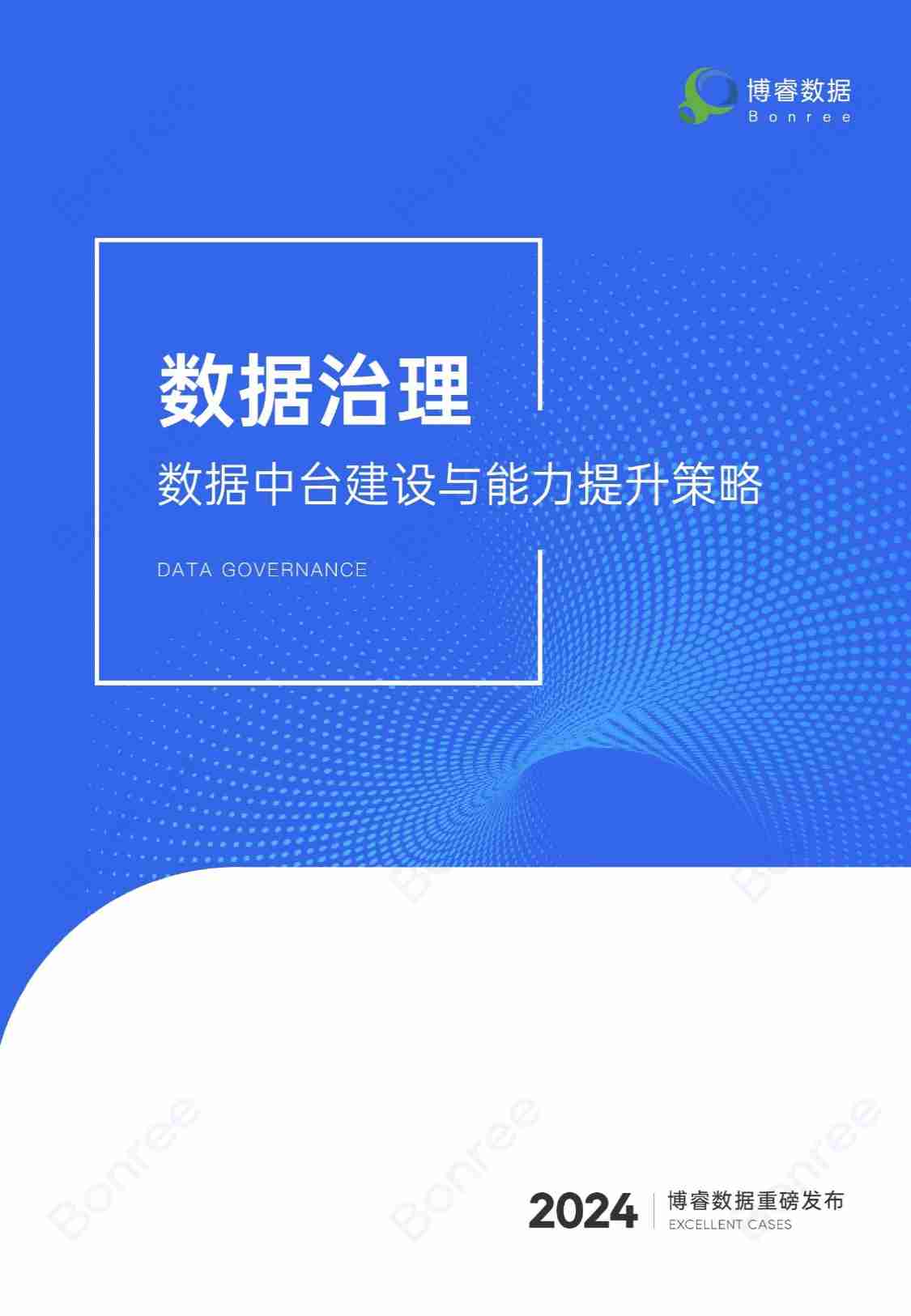 数据治理：数据中台建设与能力提升策略 2024.pdf-0-预览