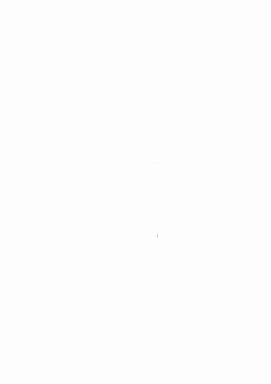 神霄雷法.pdf-2-预览