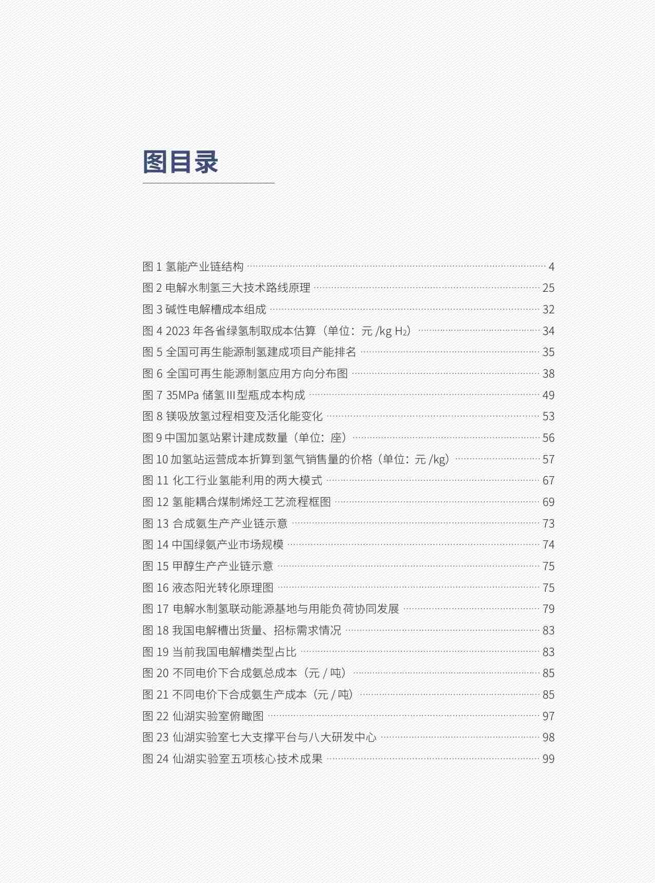 中国氢能产业发展报告2024 -推动绿氢制储输用一体化发展.pdf-4-预览