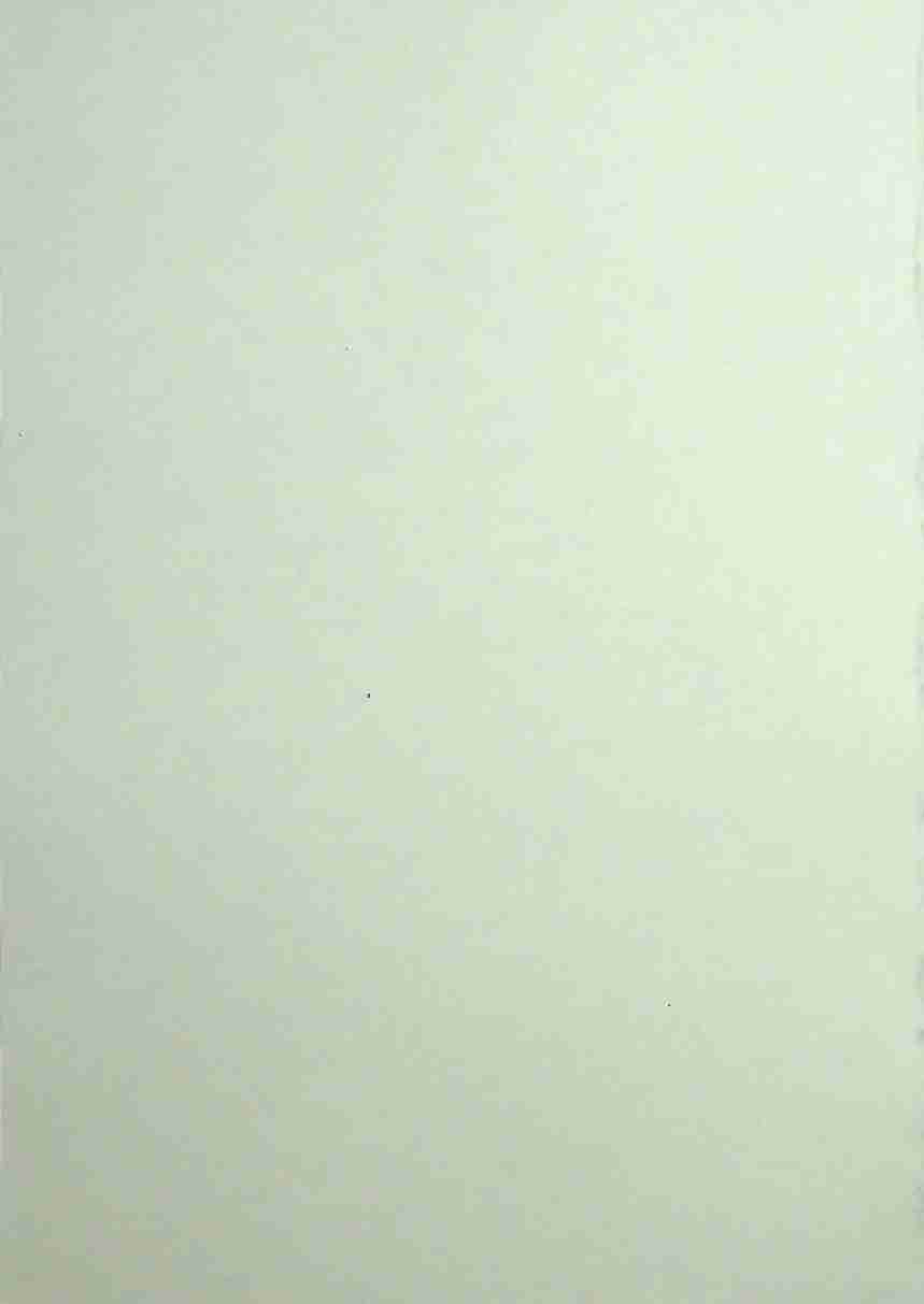 08《老狐狸经》.pdf-4-预览