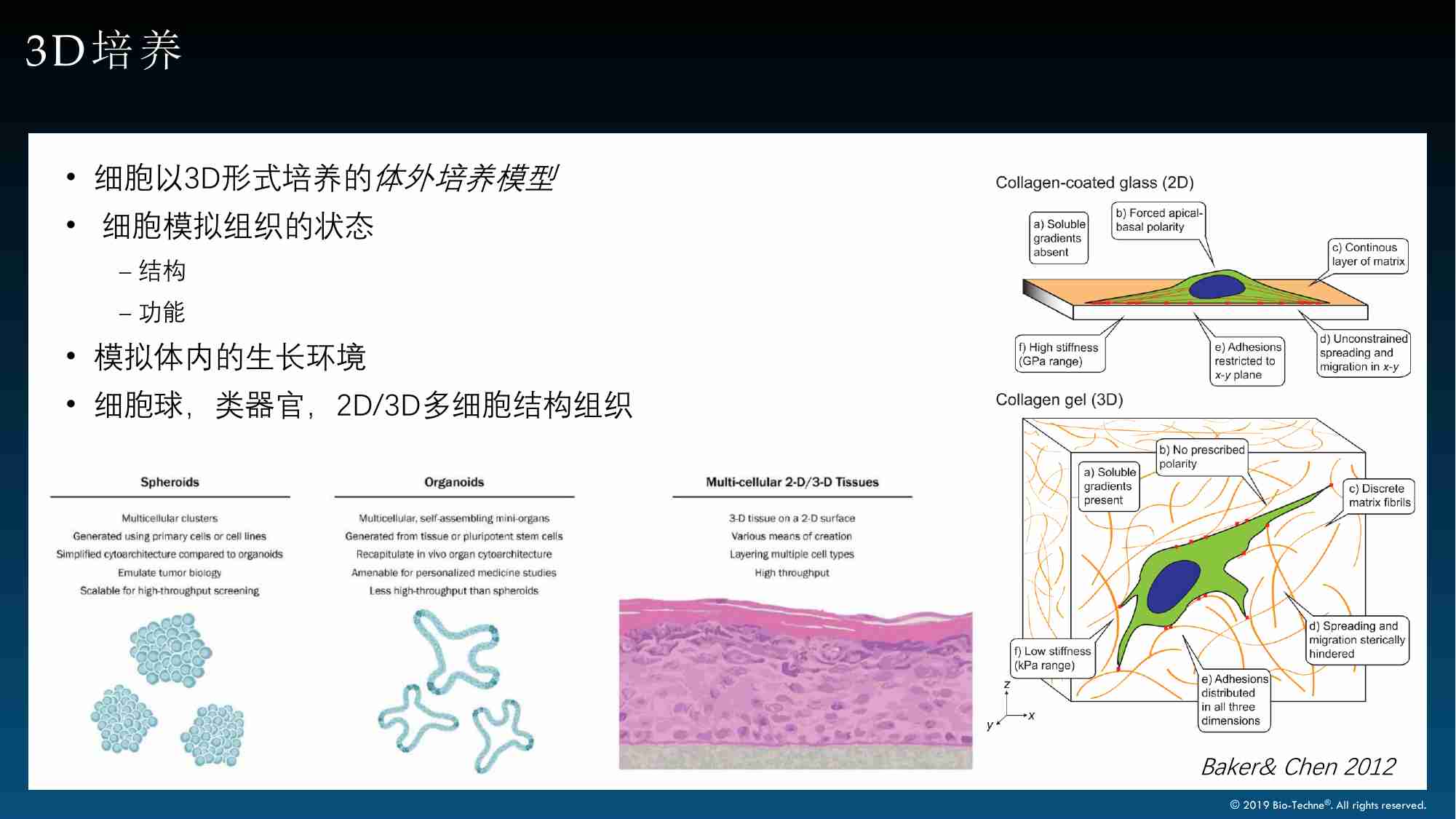 类器官培养和分泌因子检测-应用讲座.pdf-4-预览