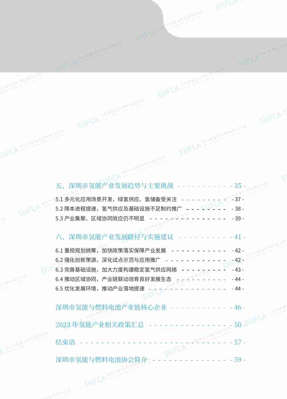 2023深圳市氢能与燃料电池产业发展白皮书.pdf-3-预览