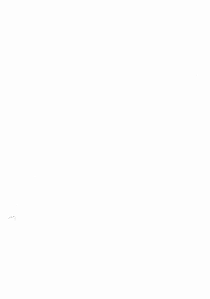 赚1000元的1000种方法+(弗朗西斯·米纳克).pdf-4-预览