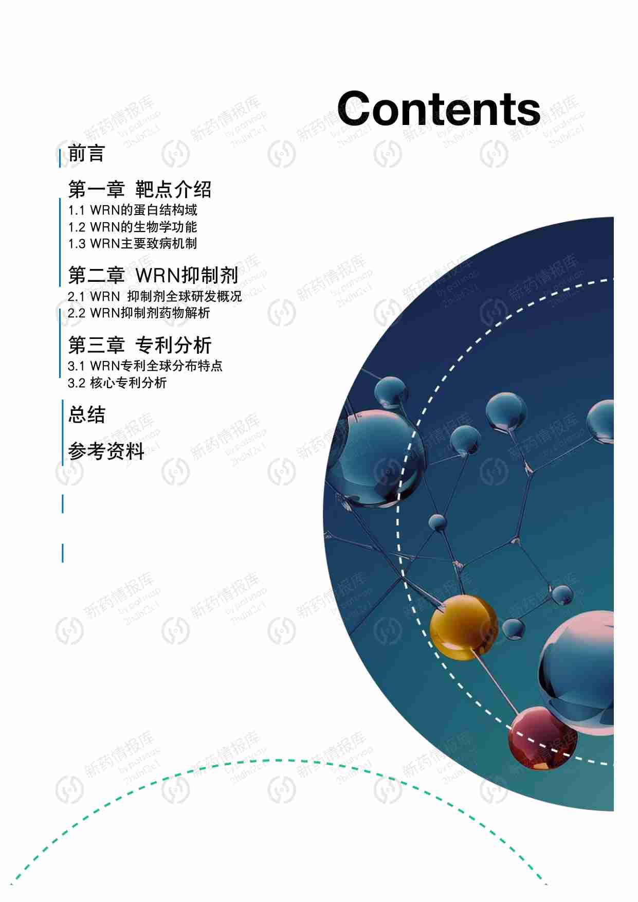 医药 -WRN抑制剂药物管线及专利调研报告 2023.pdf-2-预览