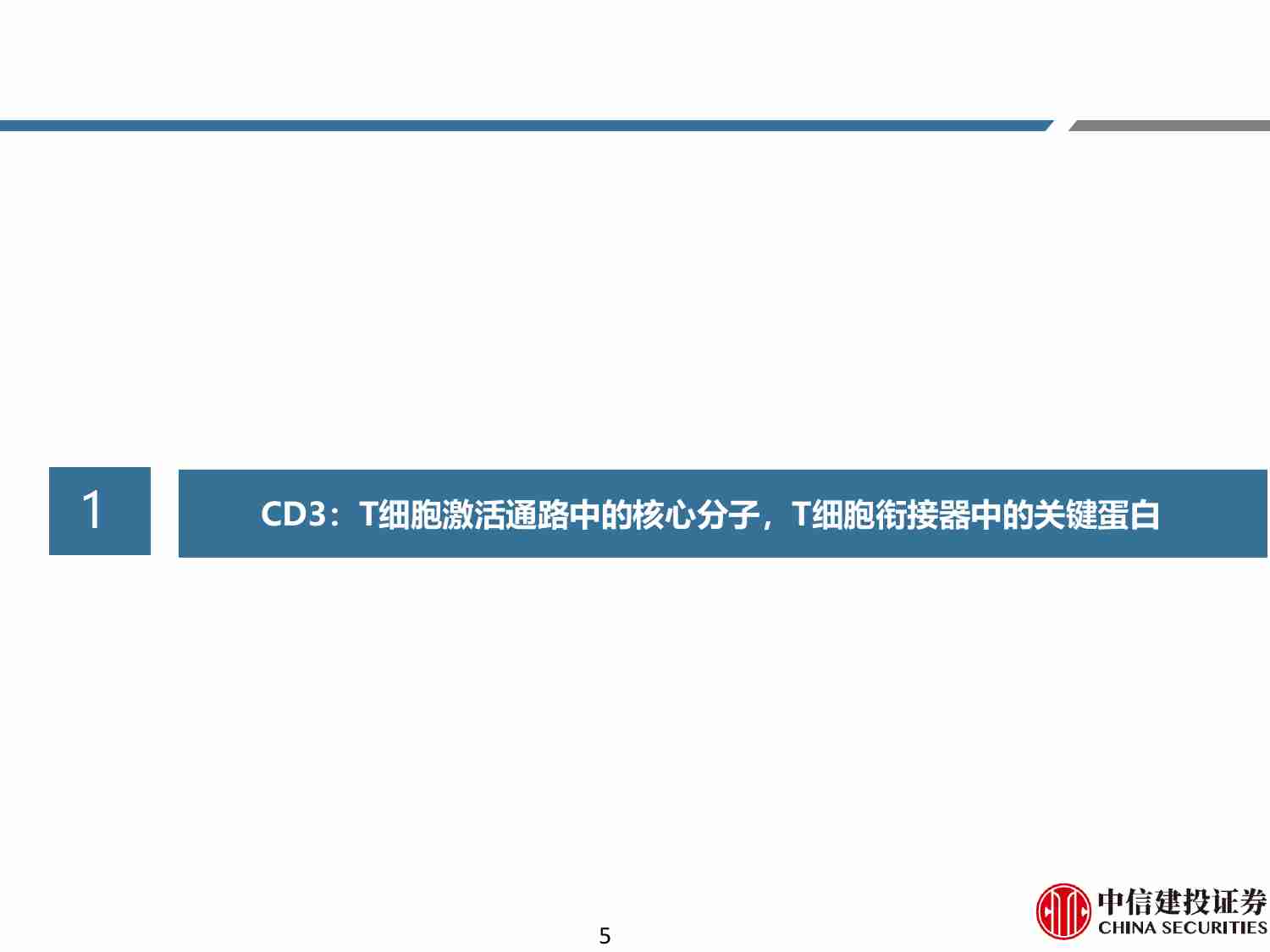 创新药-双抗系列报告之三：TCE，不止血液瘤.pdf-4-预览