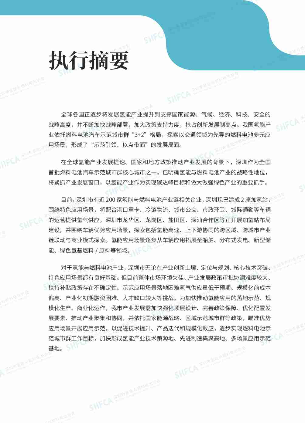 2023深圳市氢能与燃料电池产业发展白皮书.pdf-2-预览