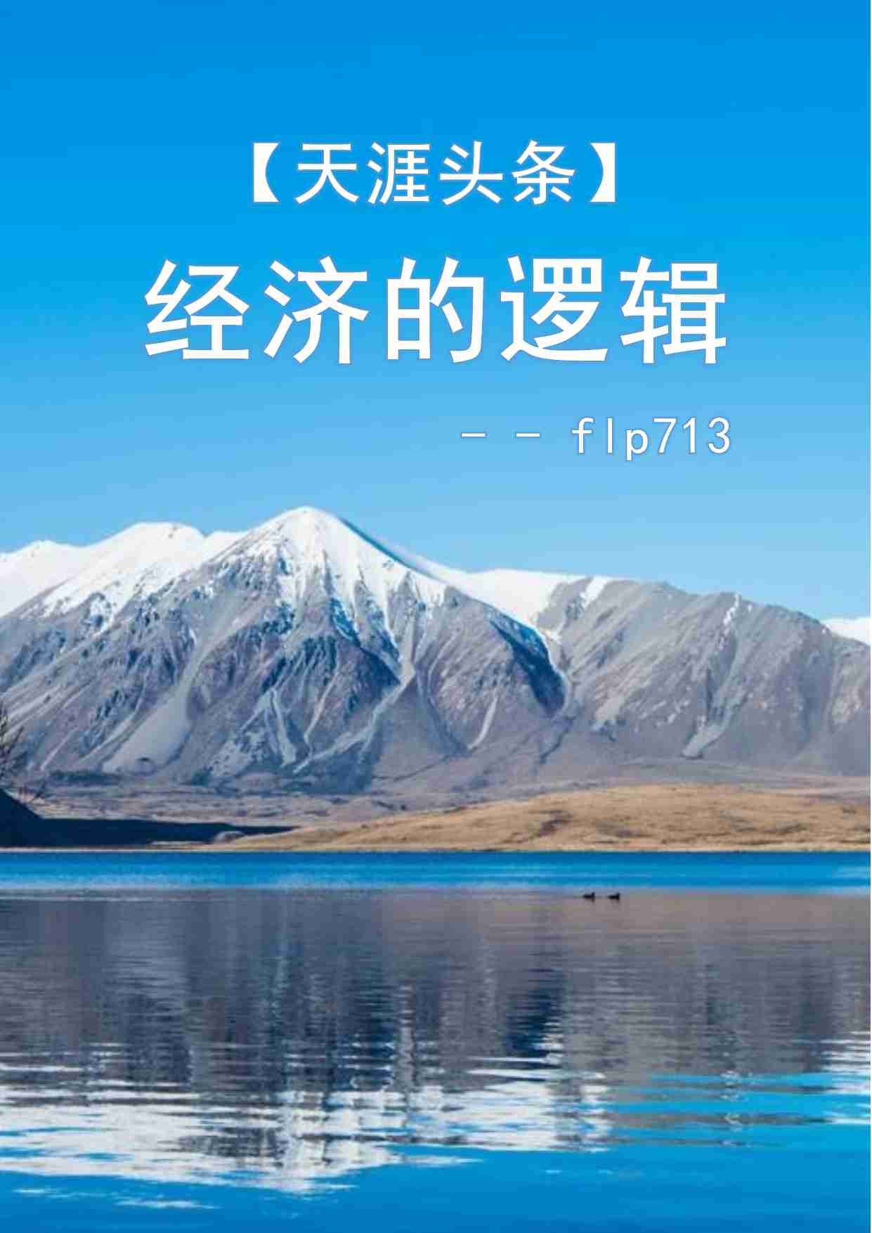 14-经济的逻辑-flp713.pdf-0-预览