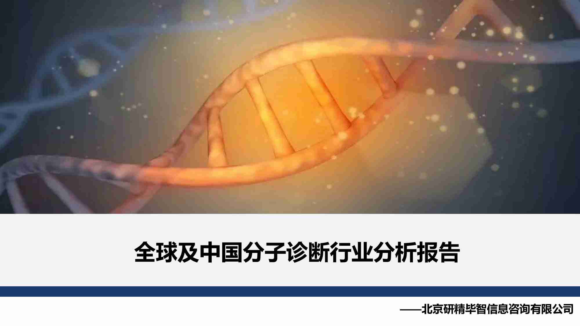 全球及中国分子诊断行业分析报告 2023.pdf-0-预览