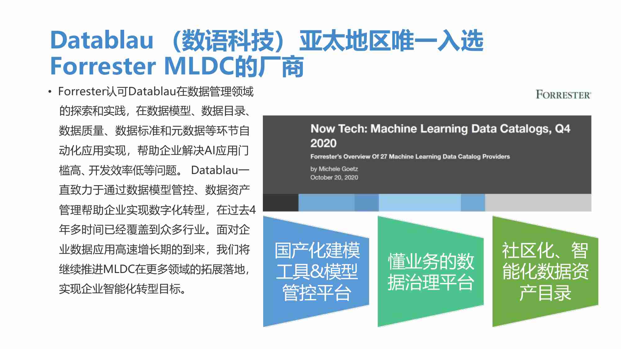 Datablau数据治理体系-制造业（DAMA社区交流）.pdf-3-预览