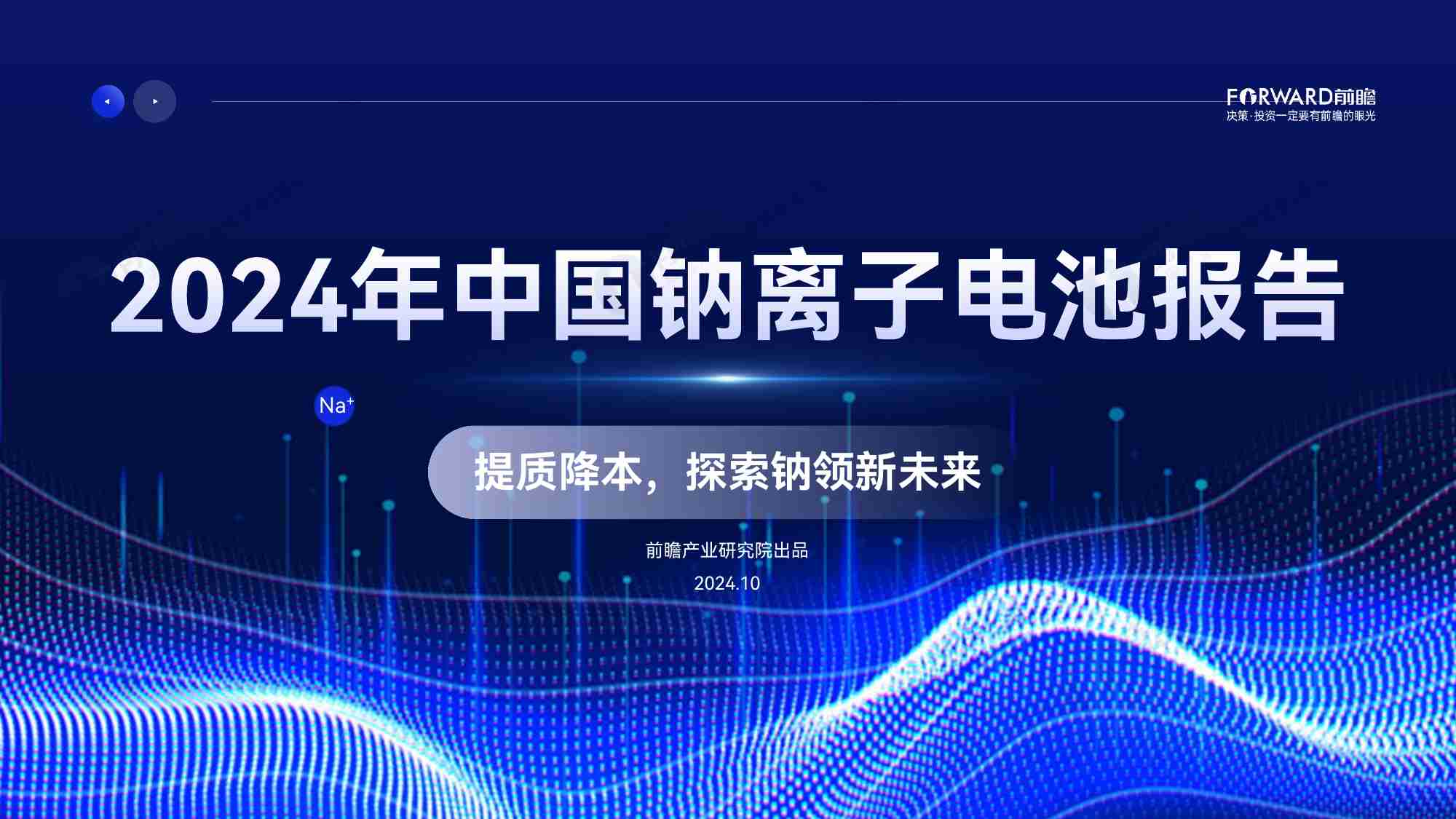 2024年中国钠离子电池报告——提质降本，探索钠领新未来.pdf-0-预览