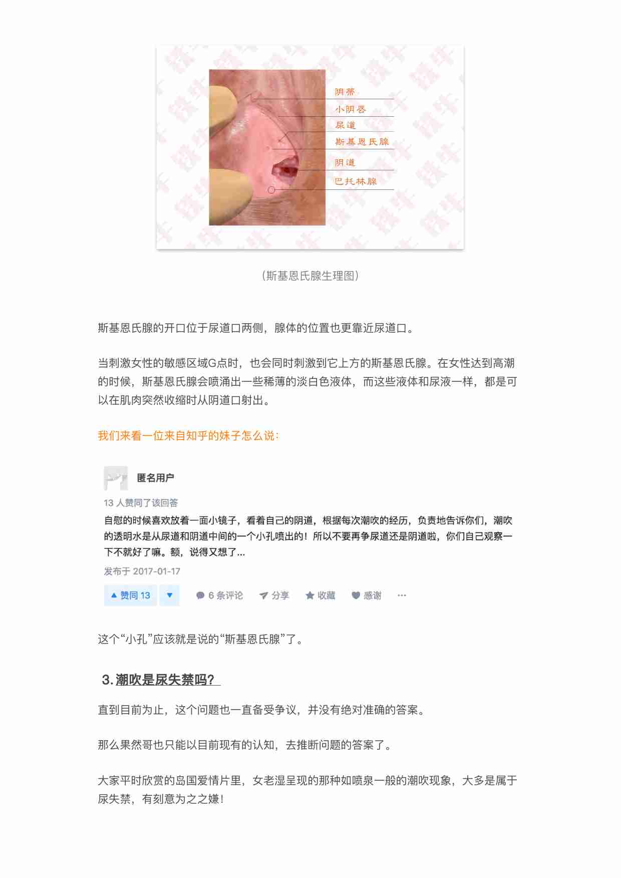 06铁牛伴侣潮吹指南（V1.0）dahuang.pdf-1-预览