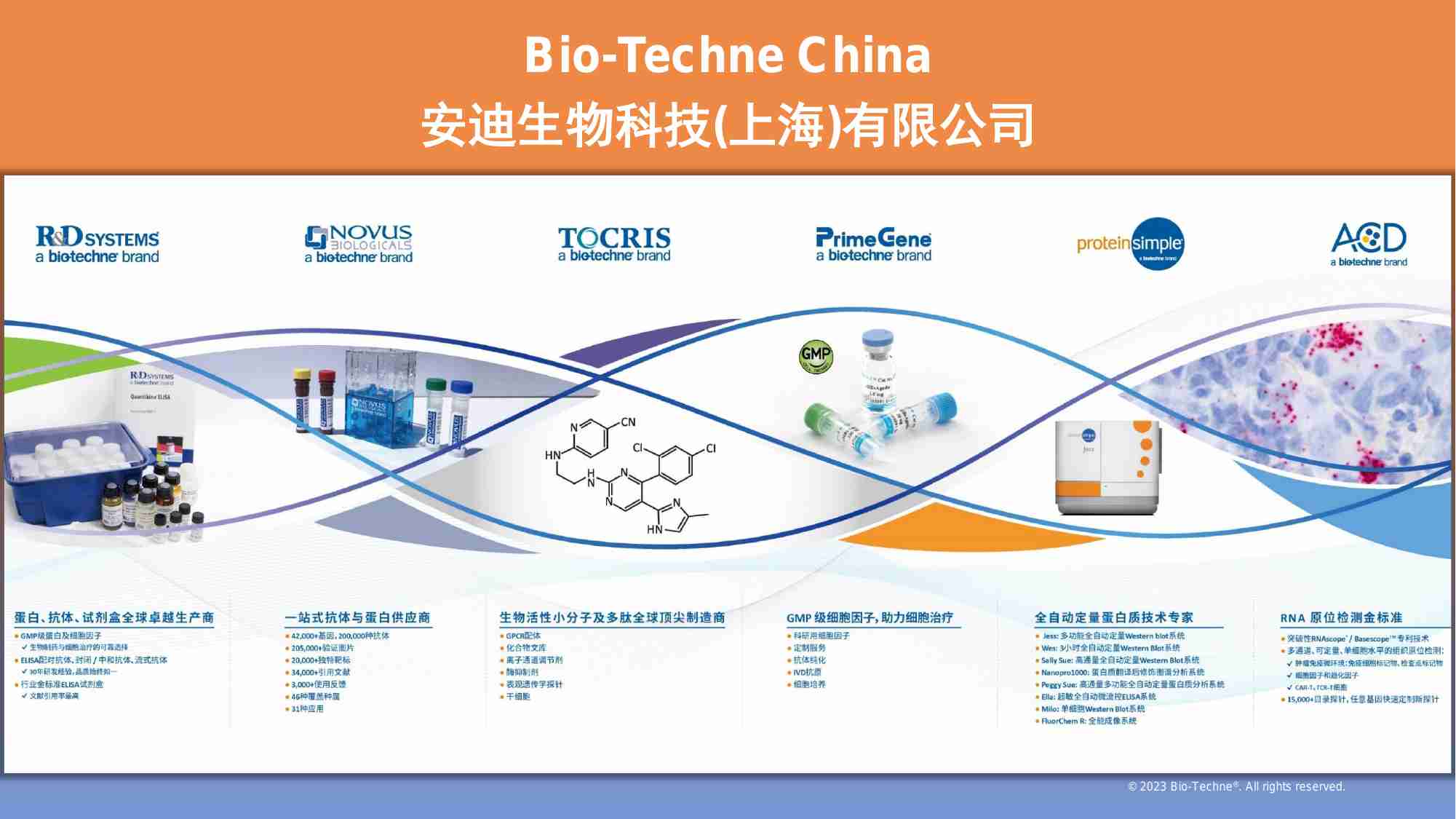 类器官培养和分泌因子检测-应用讲座.pdf-1-预览