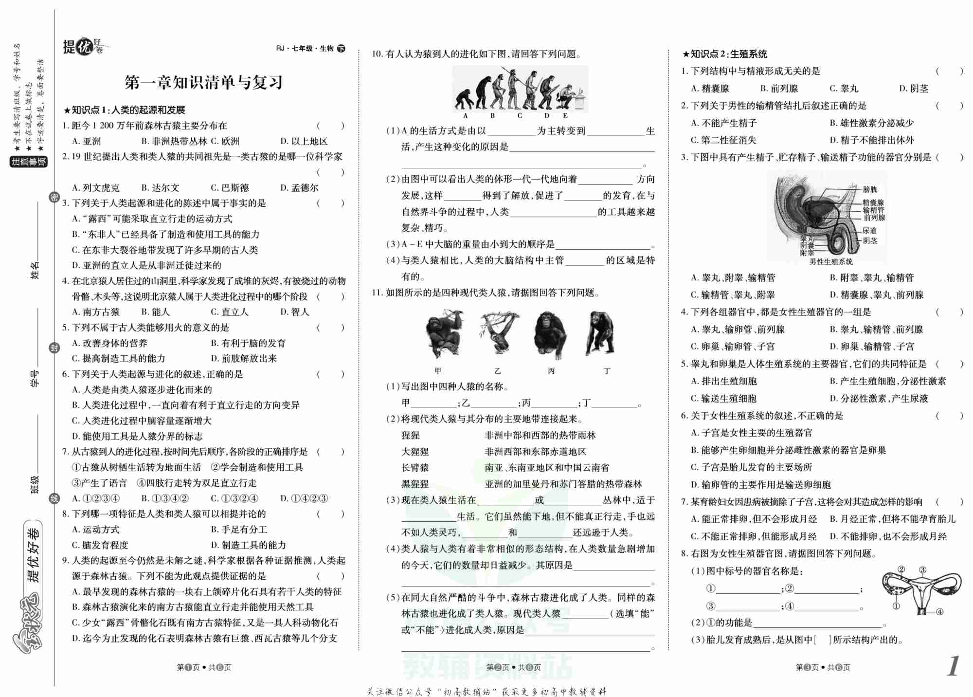 金状元·提优好卷七年级下册生物人教版安徽专用.pdf-1-预览