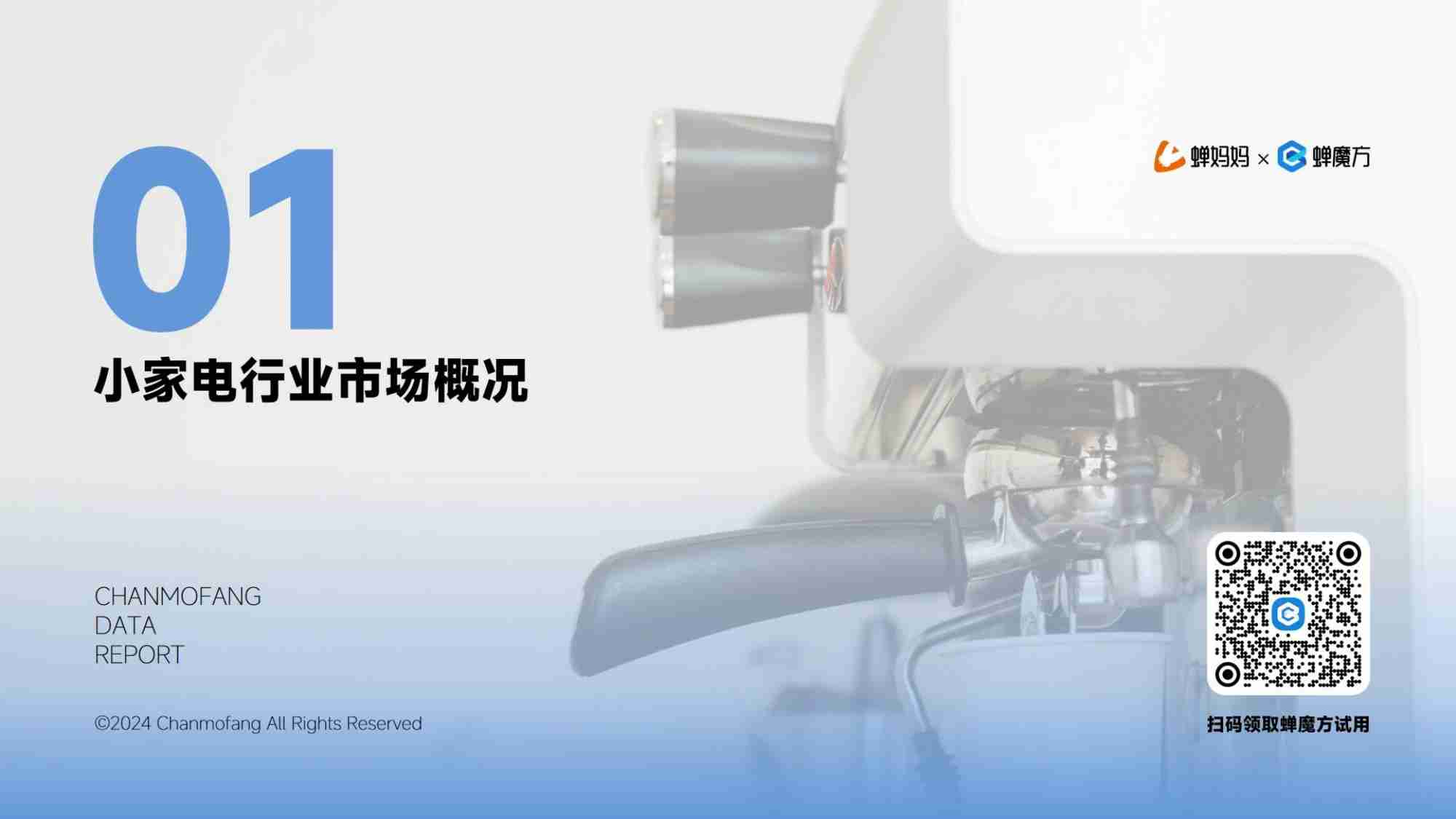 蝉妈妈：2024年抖音电商小家电行业分析报告.pdf-4-预览