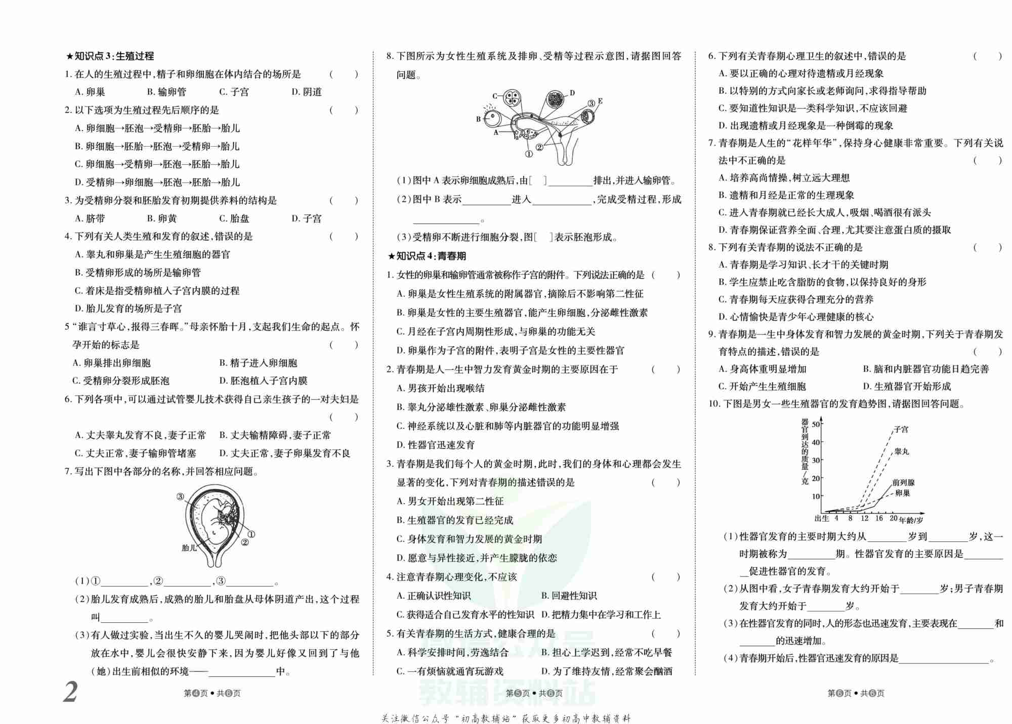 金状元·提优好卷七年级下册生物人教版山西专用.pdf-2-预览