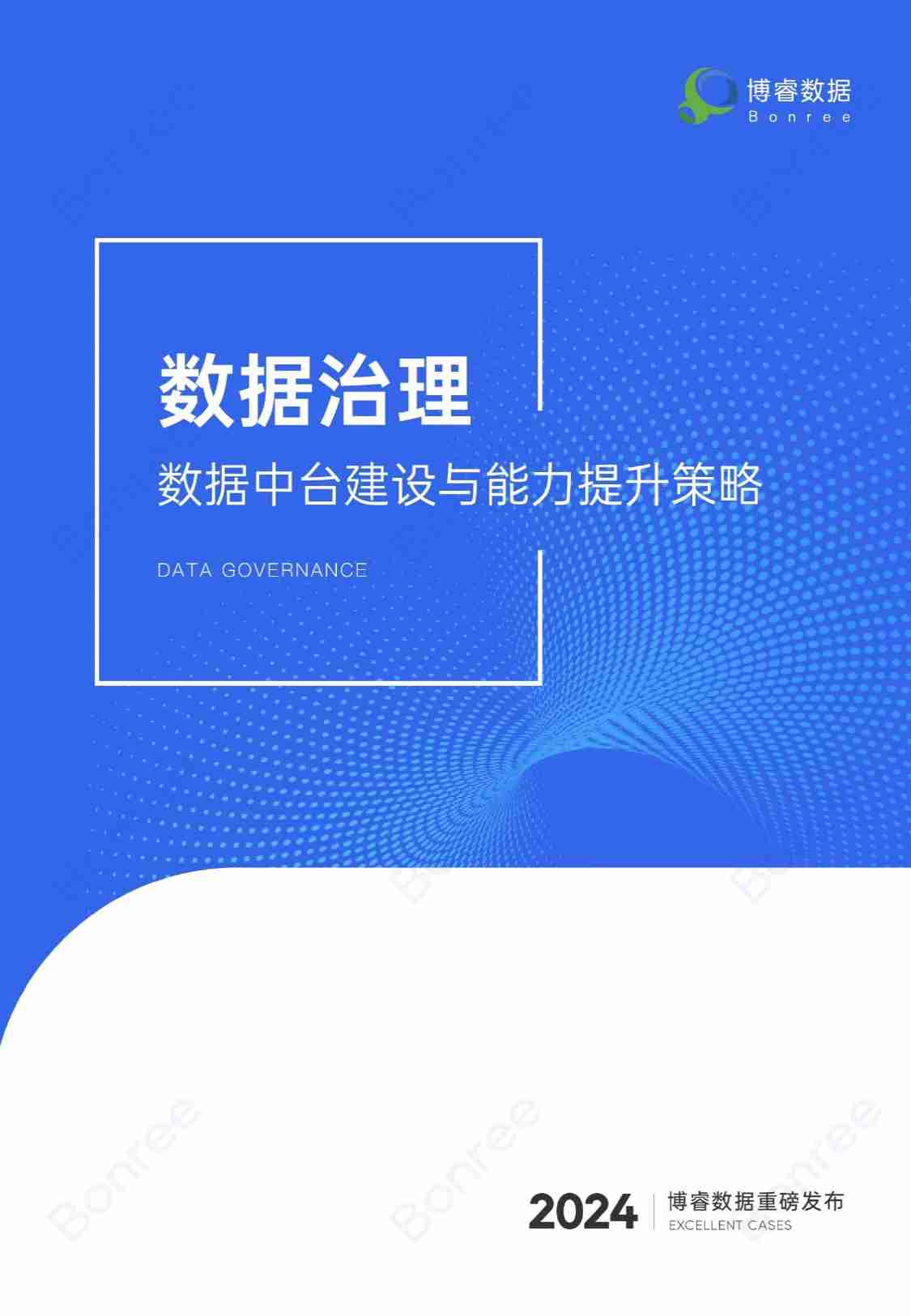 数据治理：数据中台建设与能力提升策略 2024.pdf-0-预览