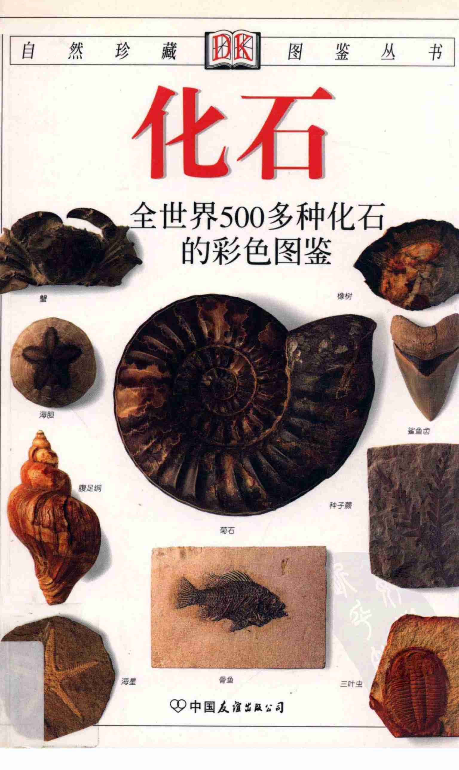 化石  全世界500多种化石的彩色图鉴 (沃克) .pdf-0-预览