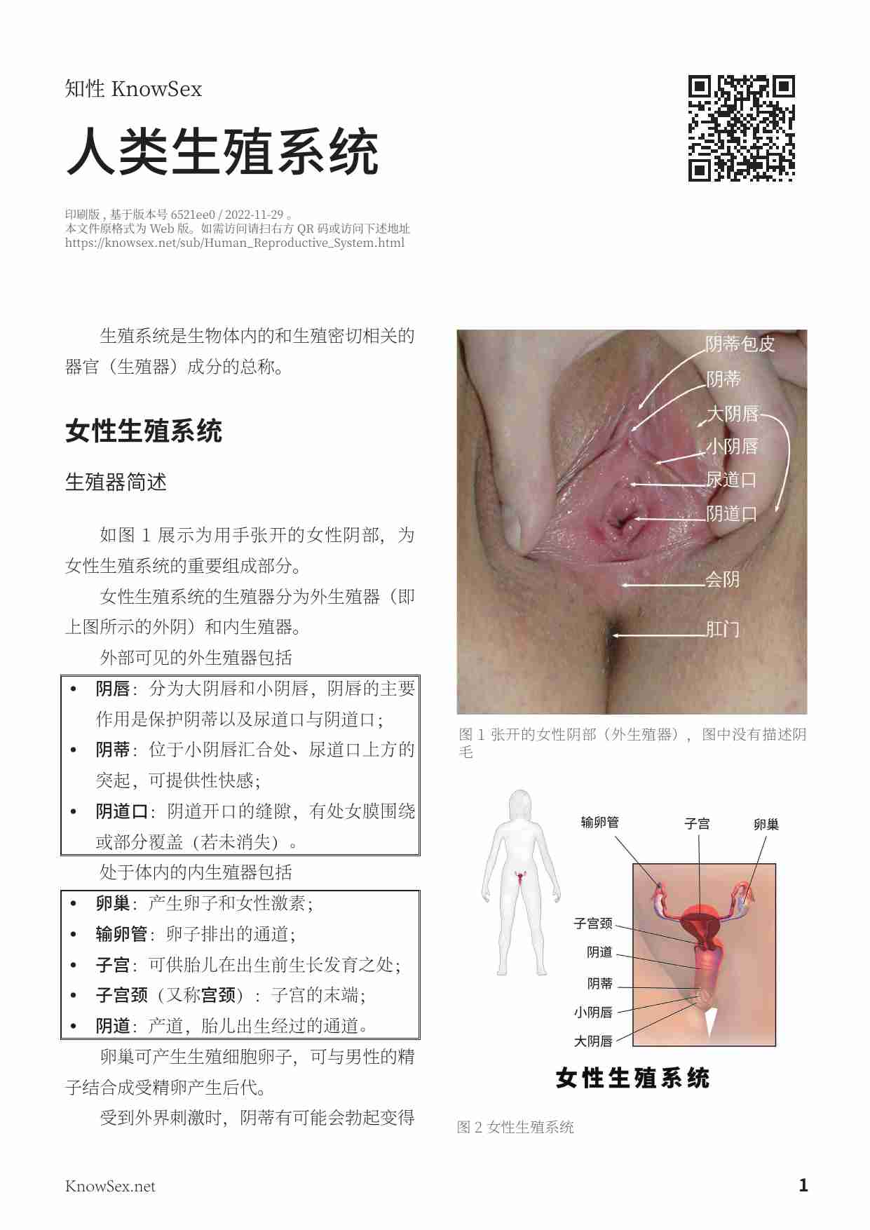 人类生殖系统.pdf-0-预览