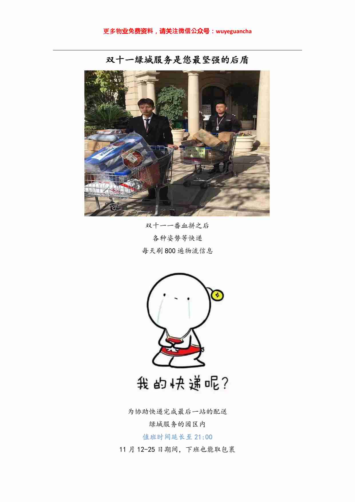 04 双十一绿城服务是您最坚强的后盾.pdf-0-预览