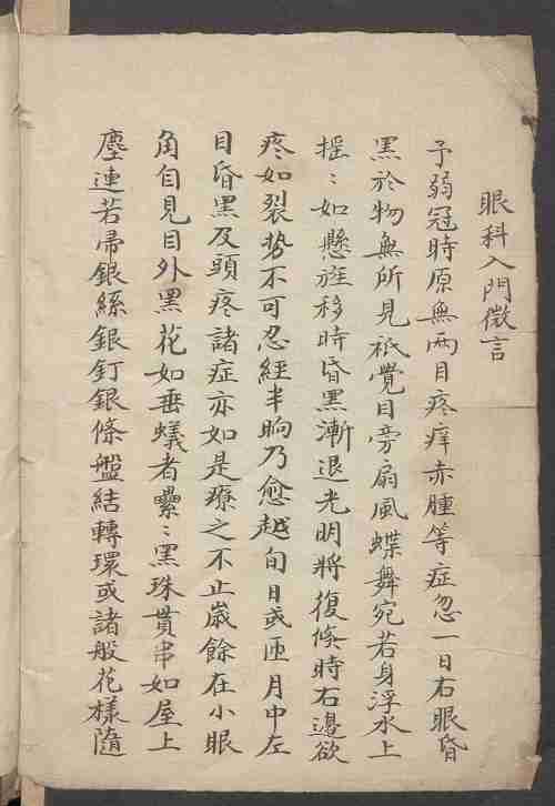 眼科入門 馬化龍.PDF-2-预览