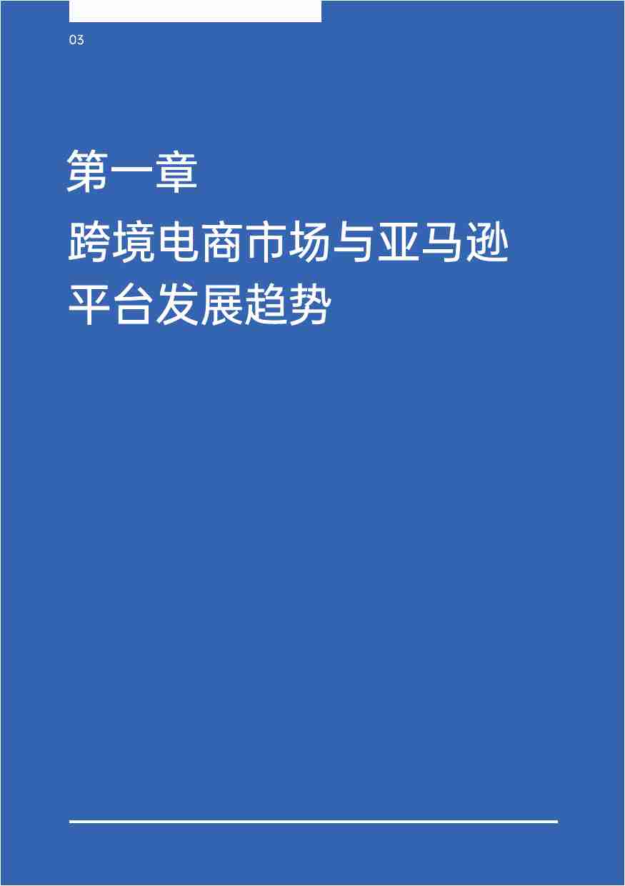 亚马逊+独立站双轨模式出海策略报告.pdf-3-预览