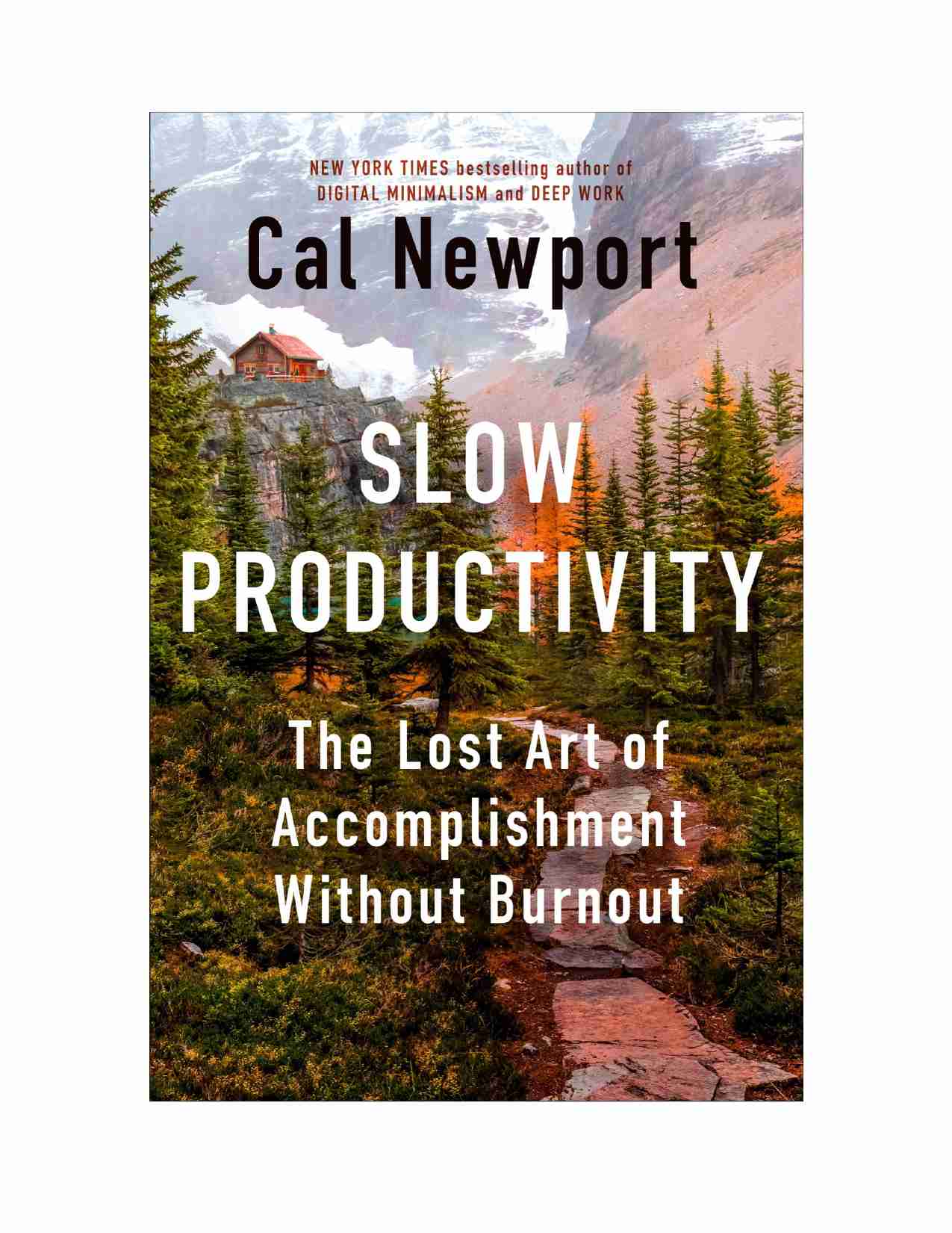 slowpro_zhonly.pdf-1-预览