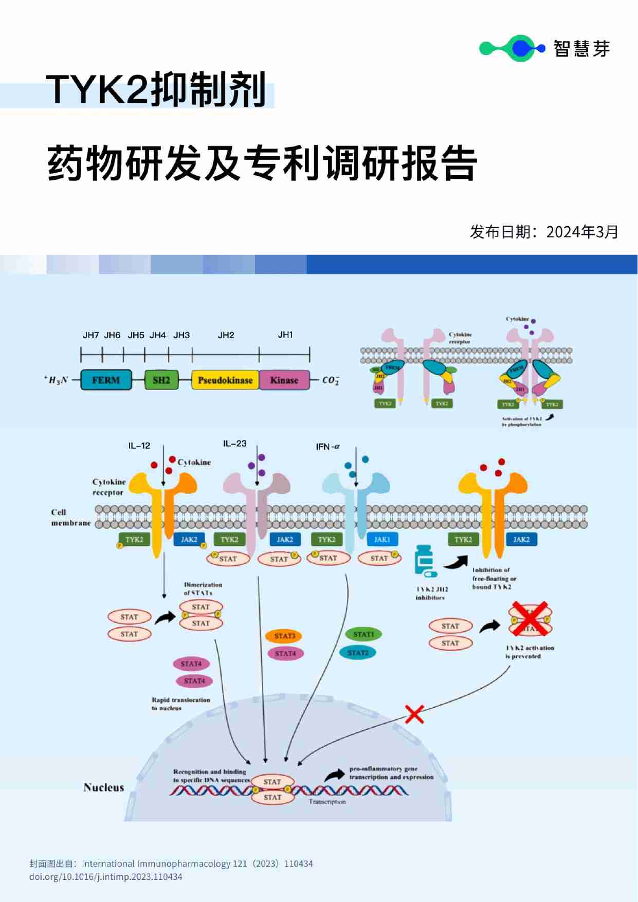 TYK2抑制剂药物研发及专利调研报告.pdf-0-预览