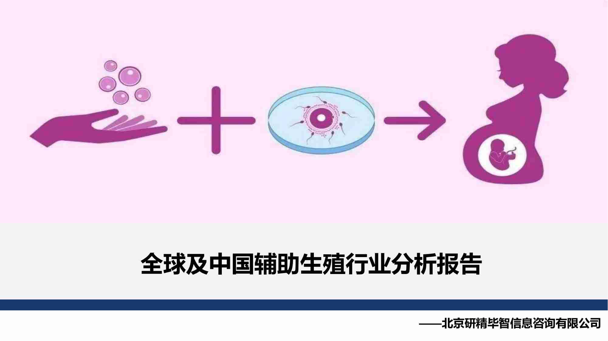 全球及中国辅助生殖行业分析报告 2023.pdf-0-预览