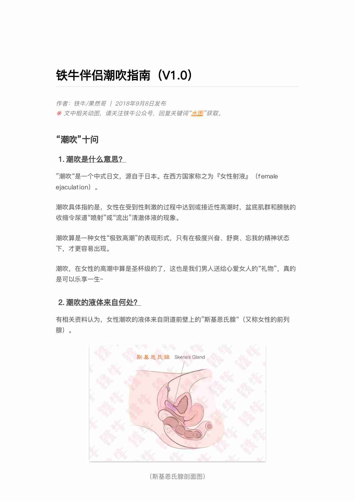 06铁牛伴侣潮吹指南（V1.0）dahuang.pdf-0-预览