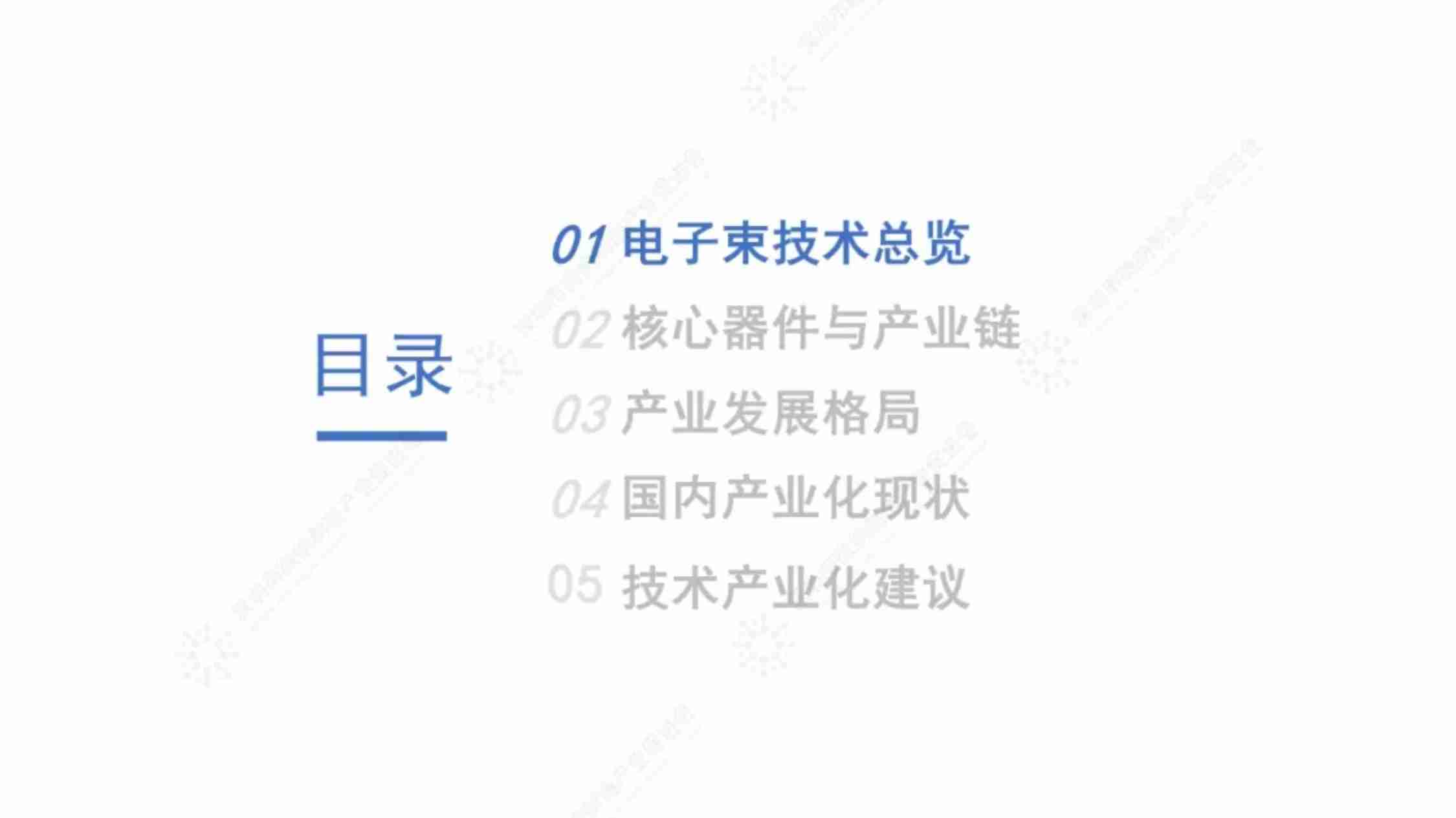 2024电子束技术产业化调研报告.pdf-2-预览